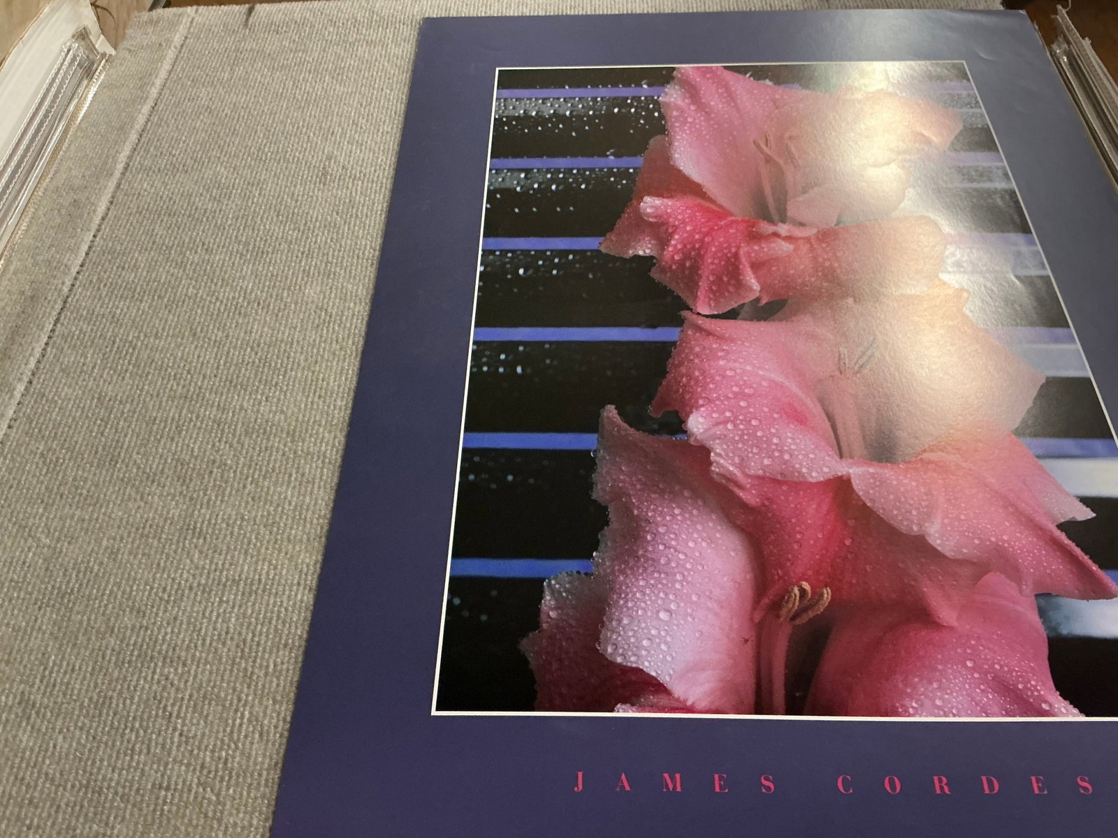James Cordes - Gladiolus - 1983 Offset Lithograph 28 x 20"" - 7