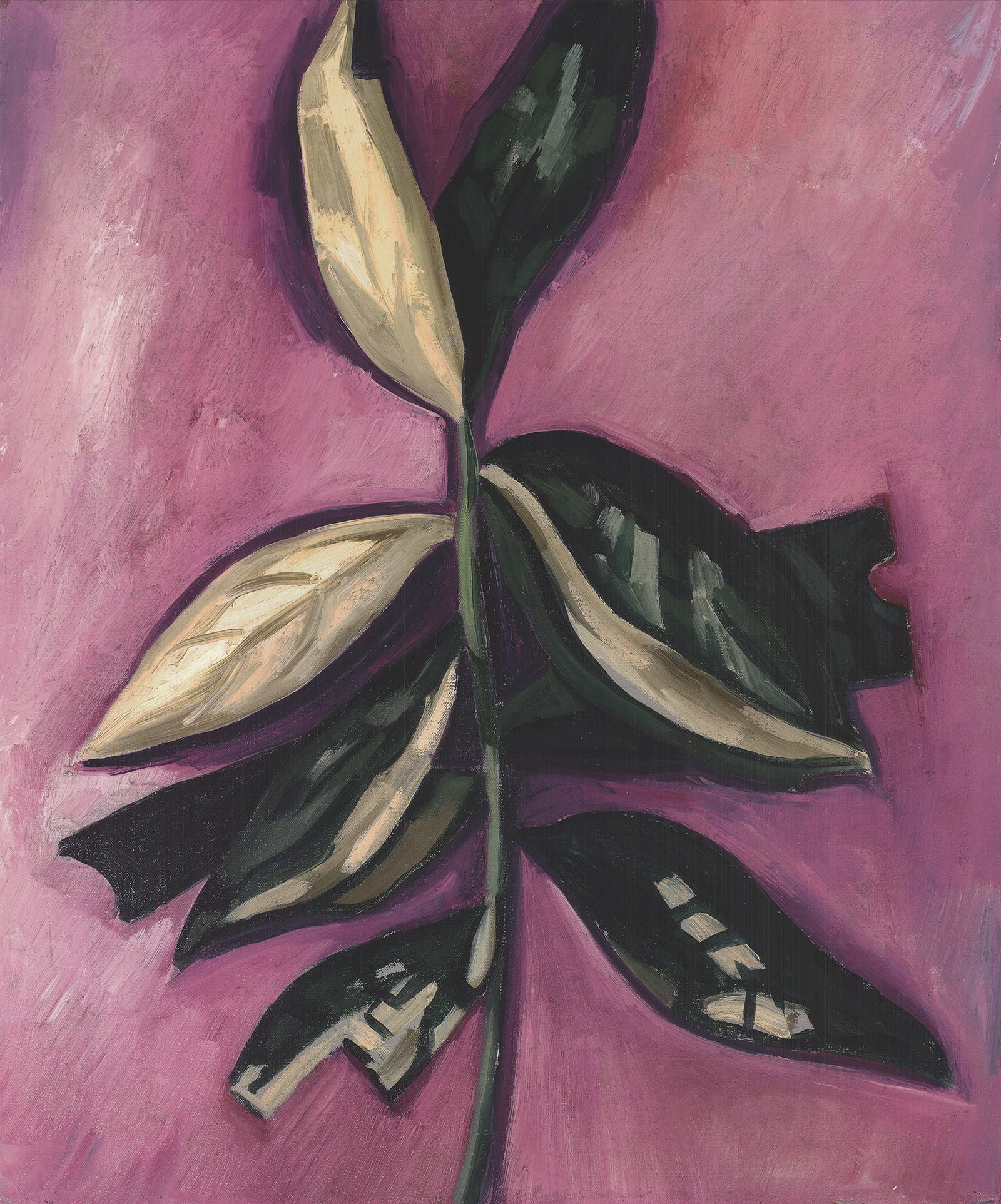 Marsden Hartley - Leaves - 2019 Offset Lithograph 43.25 x 33"" - 2