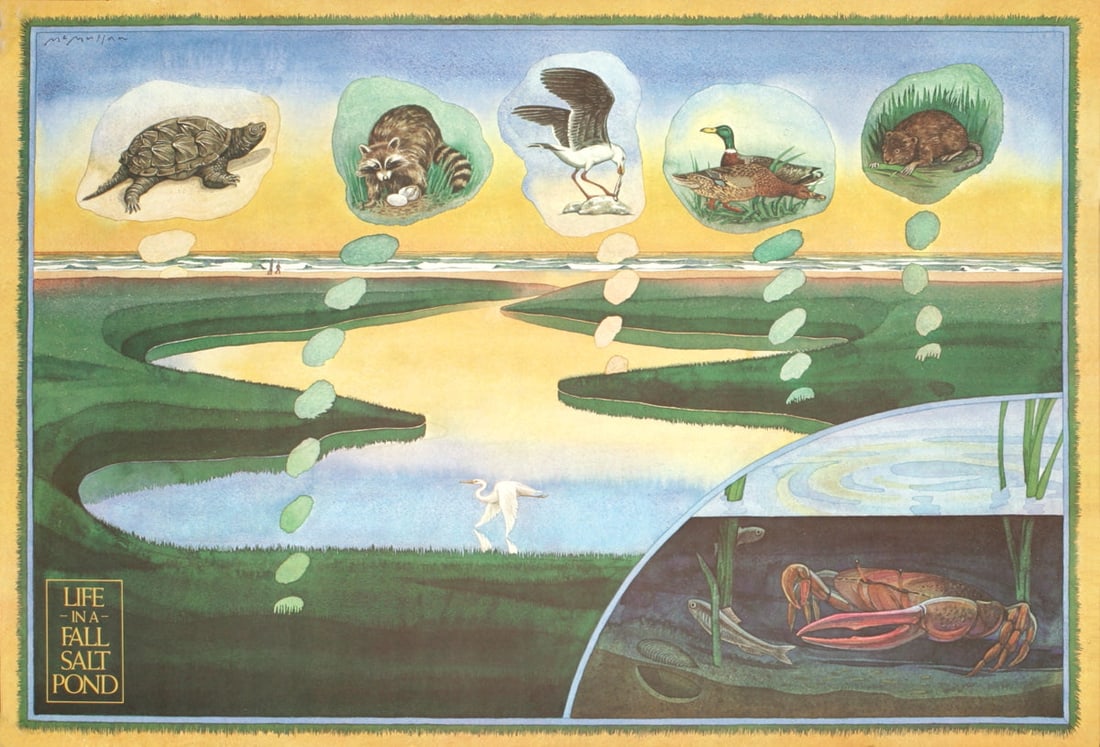 James McMullan - Life in a Fall Salt Pond - 1972 Offset Lithograph 22 x 32.25"": Title: James McMullan - Life in a Fall Salt Pond - 1972 Offset Lithograph 22 x 32.25" Description: "Life in a Fall Salt Pond" by James McMullan, 1972 Unsigned Offset Lithograph. Paper size is 22 x 32.