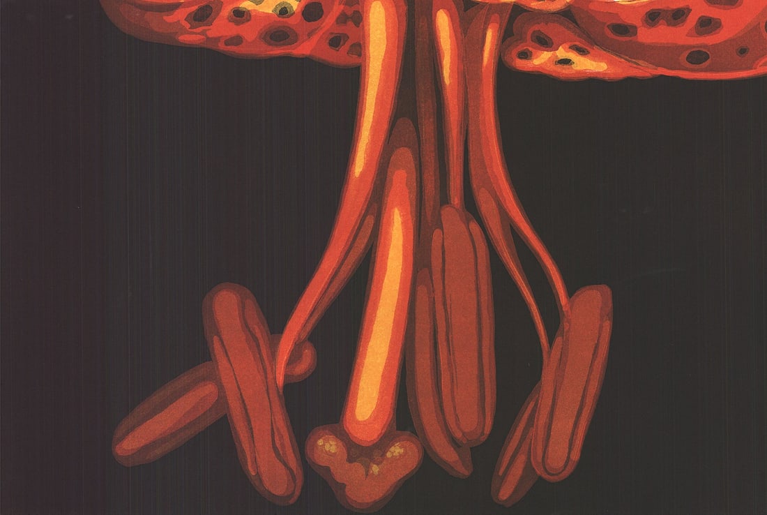 Lowell Nesbitt - Lily - 1973 Etching - SIGNED 34.25 x 31.25"" - 5