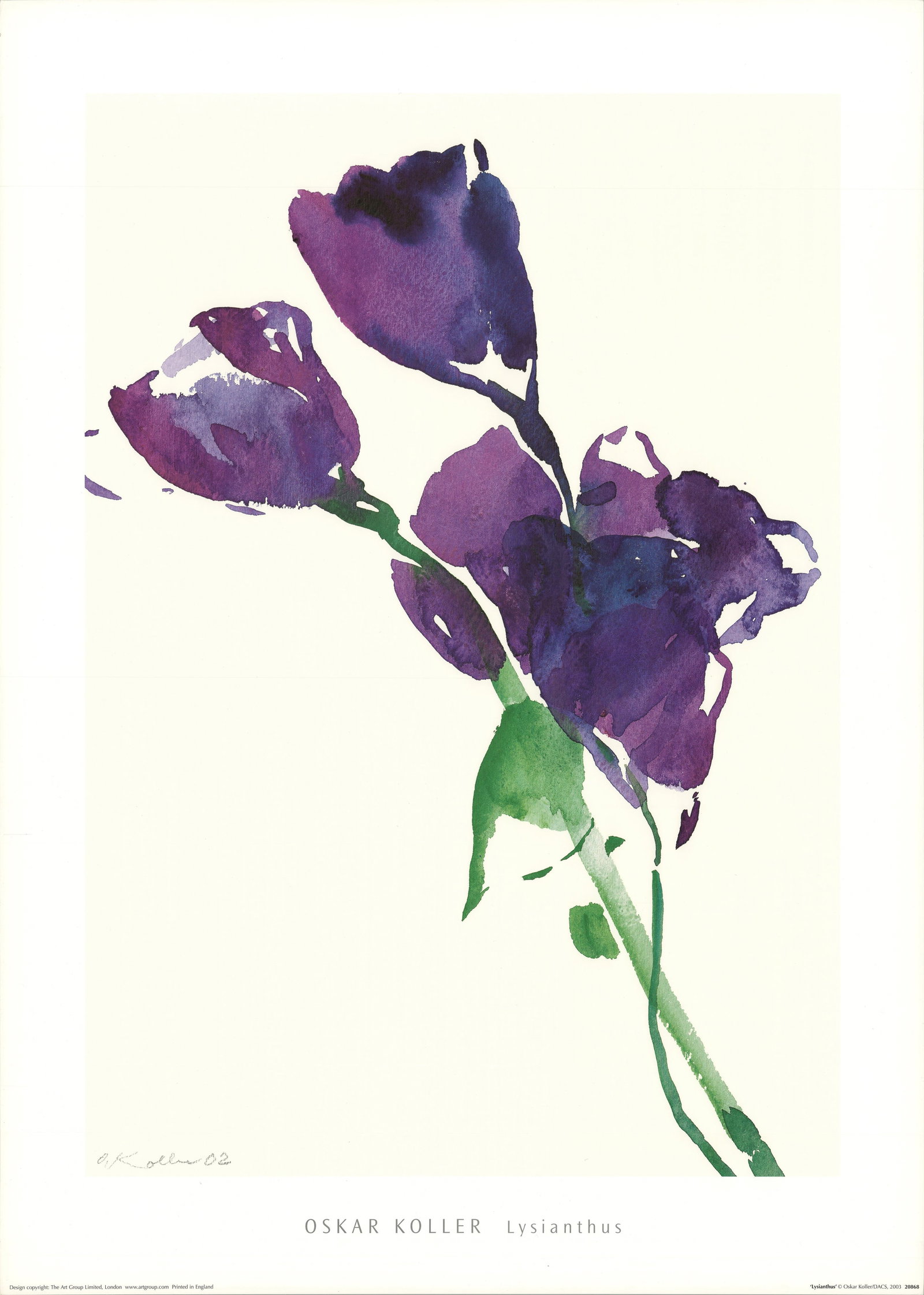 Oskar Koller - Lysianthus - 2003 Offset Lithograph 27.75 x 19.75"" (1 of 5)