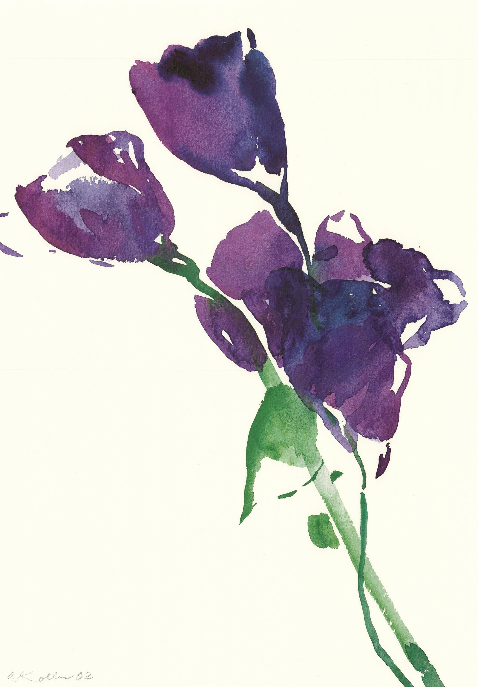 Oskar Koller - Lysianthus - 2003 Offset Lithograph 27.75 x 19.75"" - 2