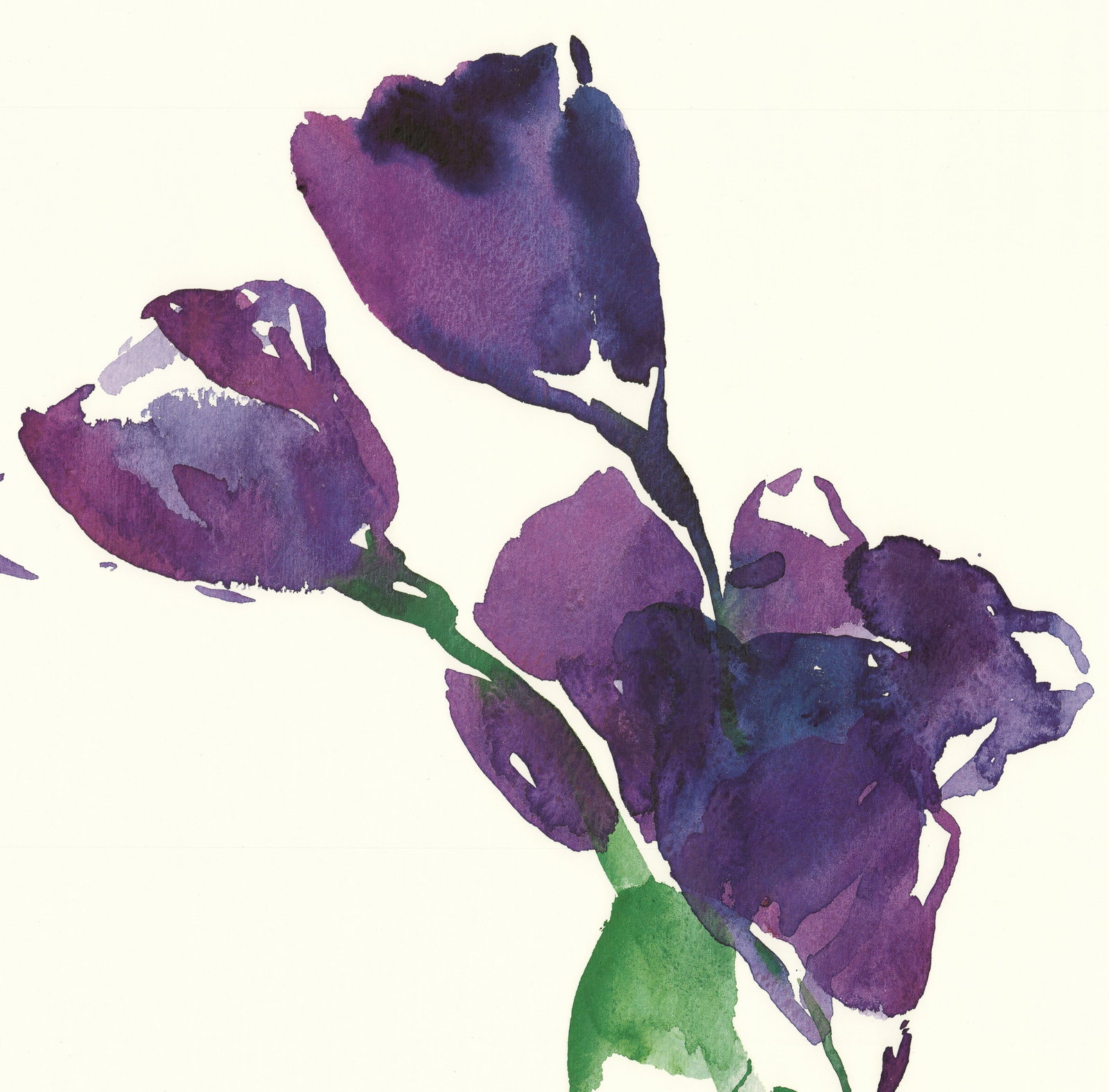 Oskar Koller - Lysianthus - 2003 Offset Lithograph 27.75 x 19.75"" - 3