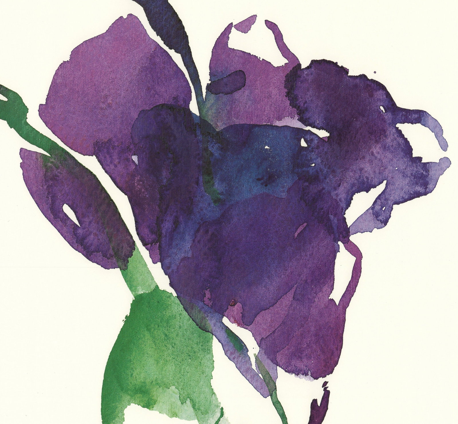 Oskar Koller - Lysianthus - 2003 Offset Lithograph 27.75 x 19.75"" - 4