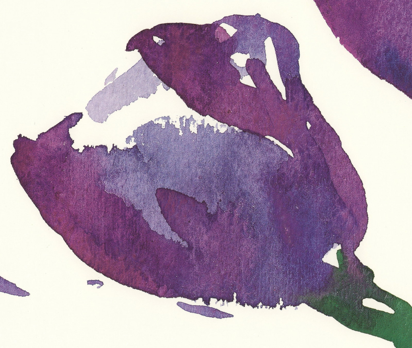 Oskar Koller - Lysianthus - 2003 Offset Lithograph 27.75 x 19.75"" - 5