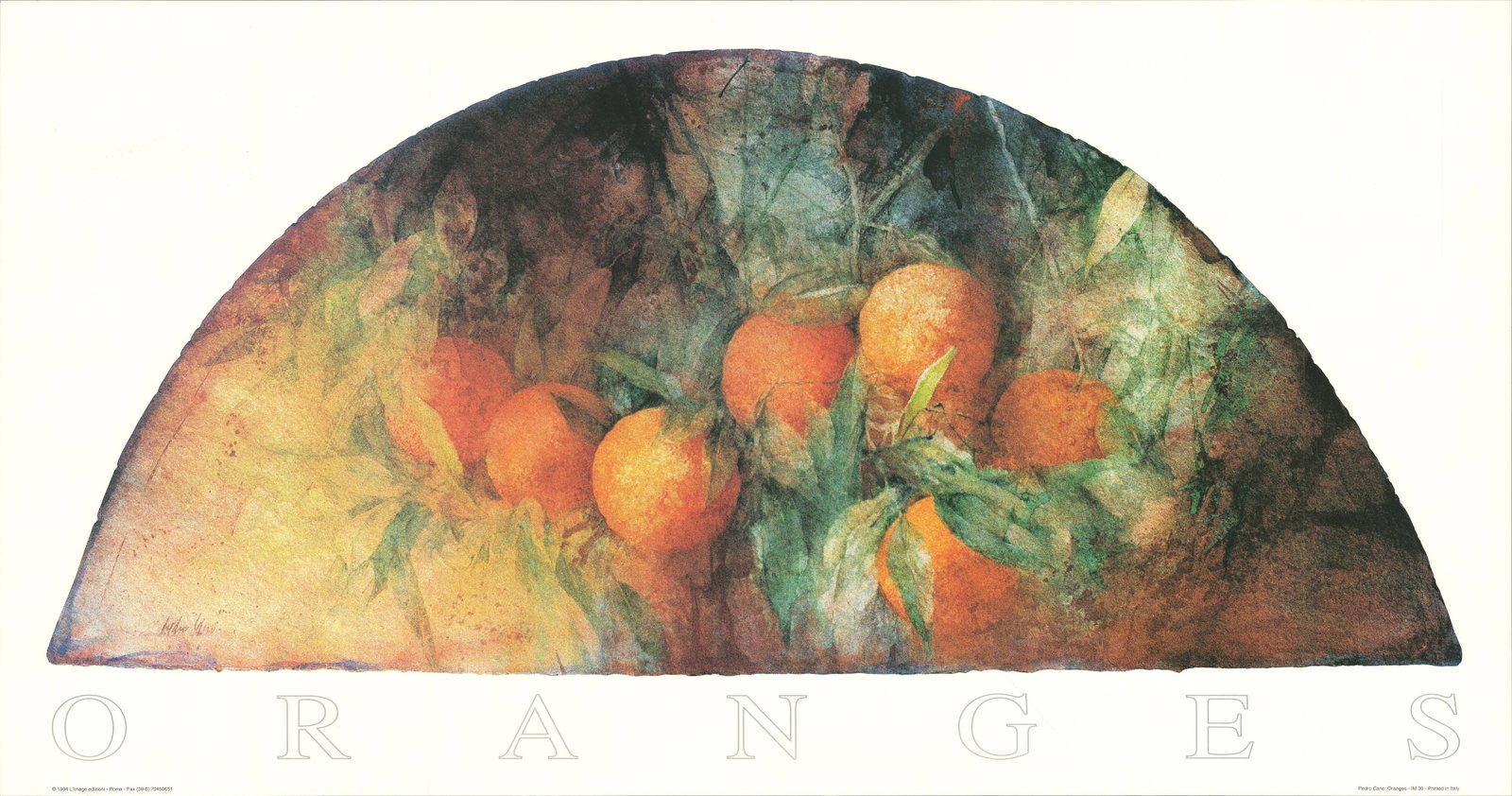 Pedro Cano - Oranges - 1994 Offset Lithograph 19.875 x 37.75"" (1 of 4)