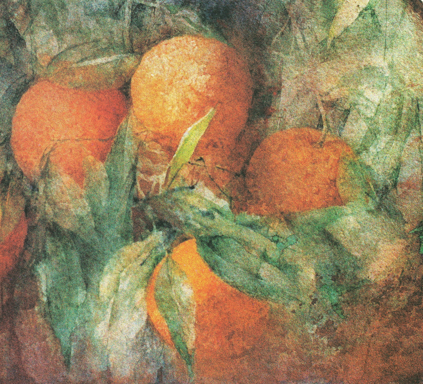 Pedro Cano - Oranges - 1994 Offset Lithograph 19.875 x 37.75"" - 3