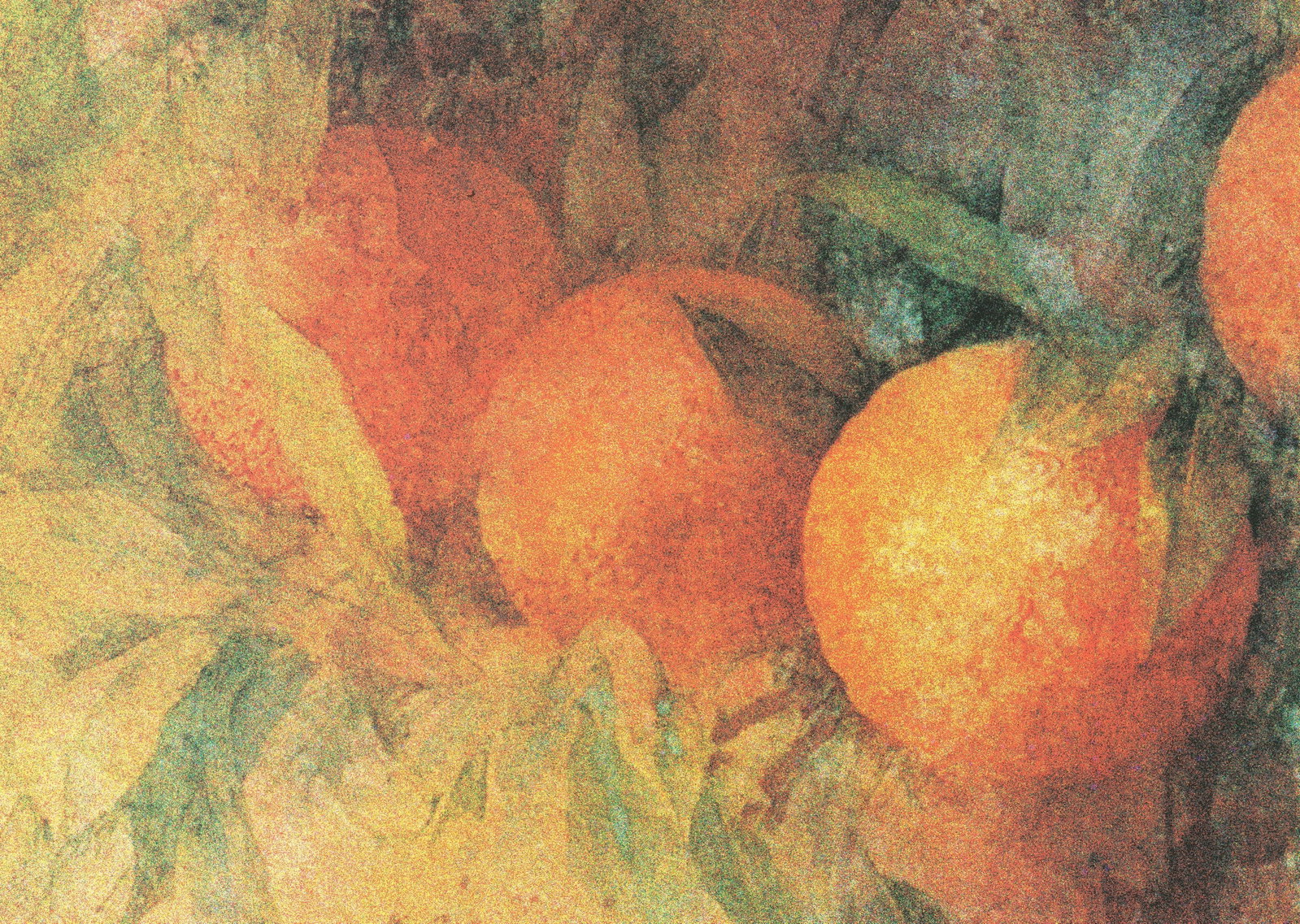 Pedro Cano - Oranges - 1994 Offset Lithograph 19.875 x 37.75"" - 4