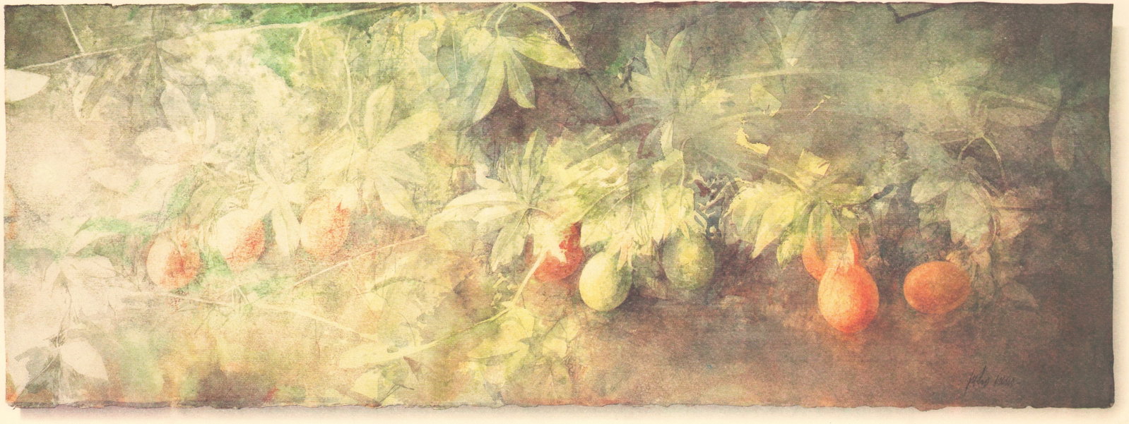 Pedro Cano - Passiflora - 1996 Offset Lithograph 20.25 x 39.5"" - 2