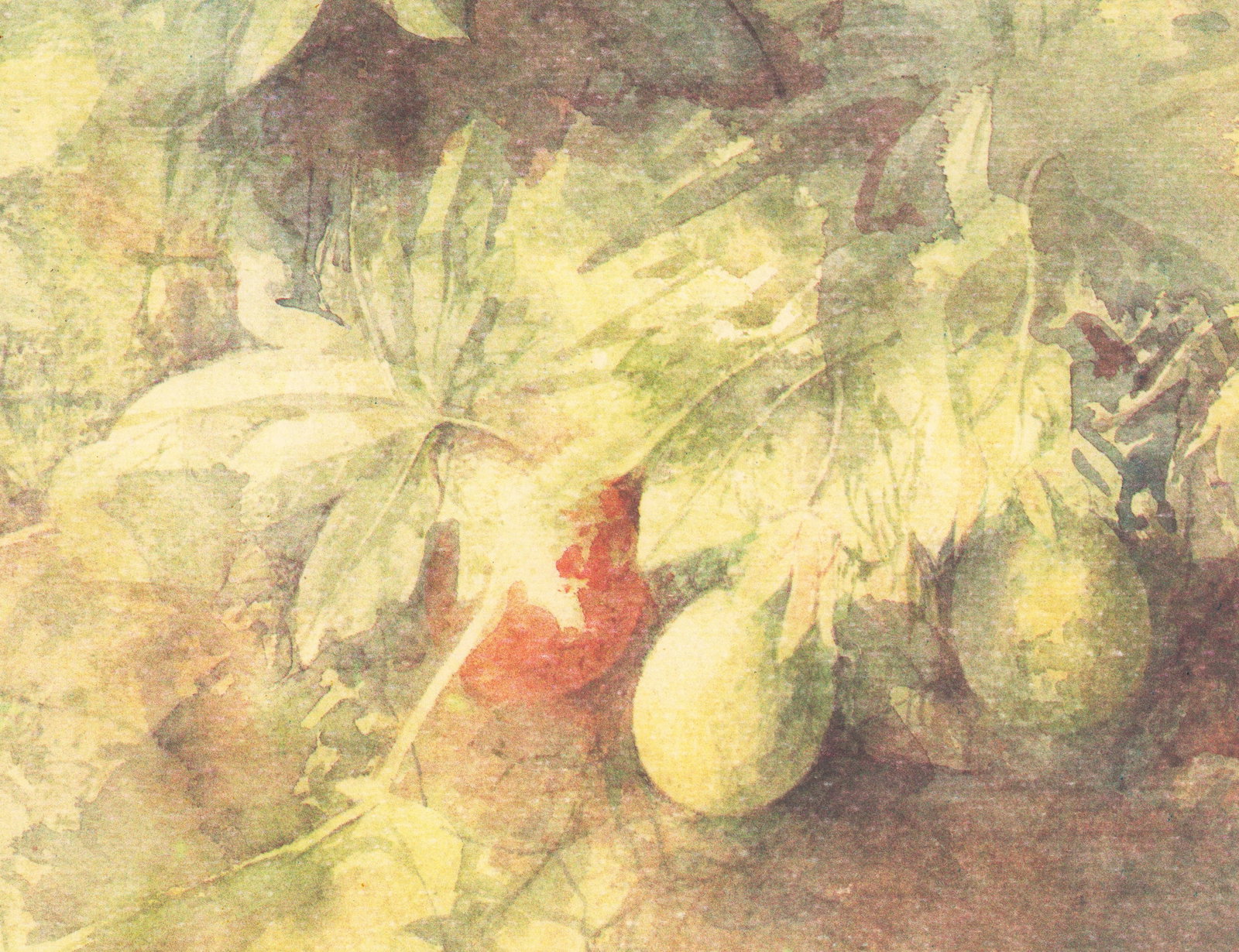 Pedro Cano - Passiflora - 1996 Offset Lithograph 20.25 x 39.5"" - 4