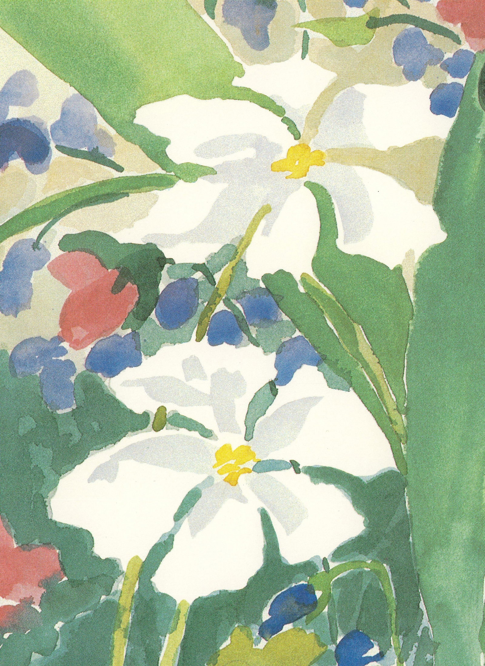 Charlene Winterle Olson - Pink Tulips - 1985 Offset Lithograph 20 x 16"" - 5