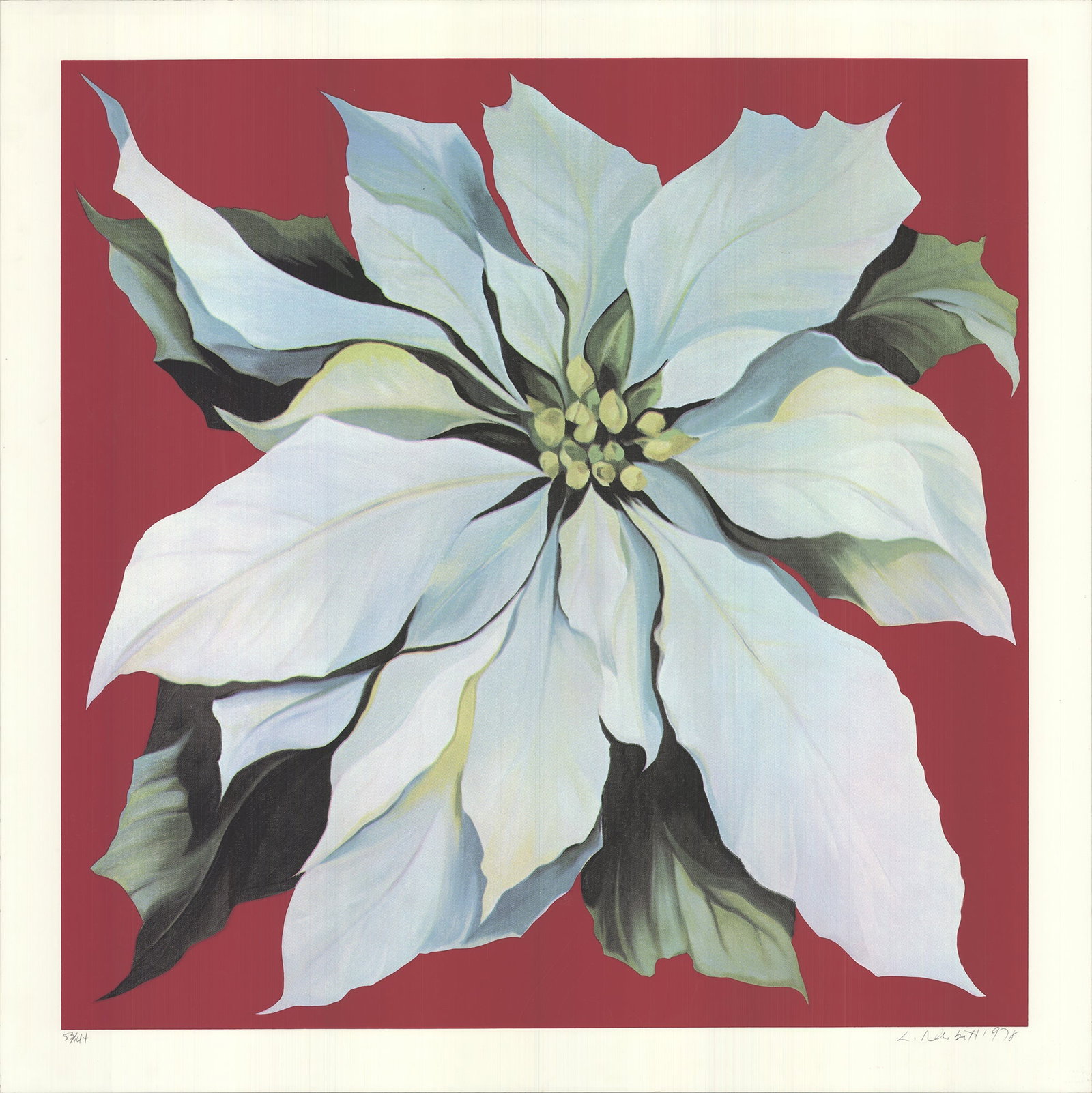 Lowell Nesbitt - Pointsettia - 1978 Serigraph - SIGNED 36 x 36"" (1 of 5)