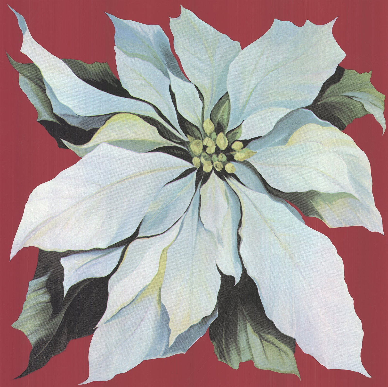 Lowell Nesbitt - Pointsettia - 1978 Serigraph - SIGNED 36 x 36"" - 3