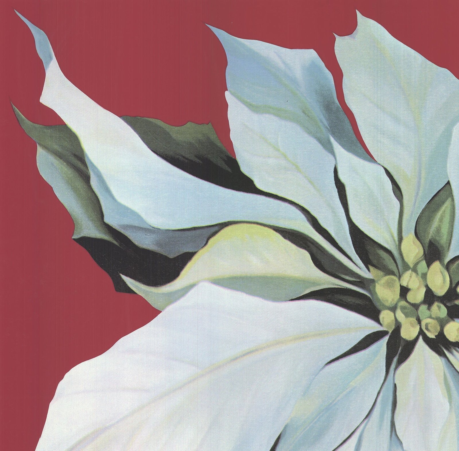 Lowell Nesbitt - Pointsettia - 1978 Serigraph - SIGNED 36 x 36"" - 4