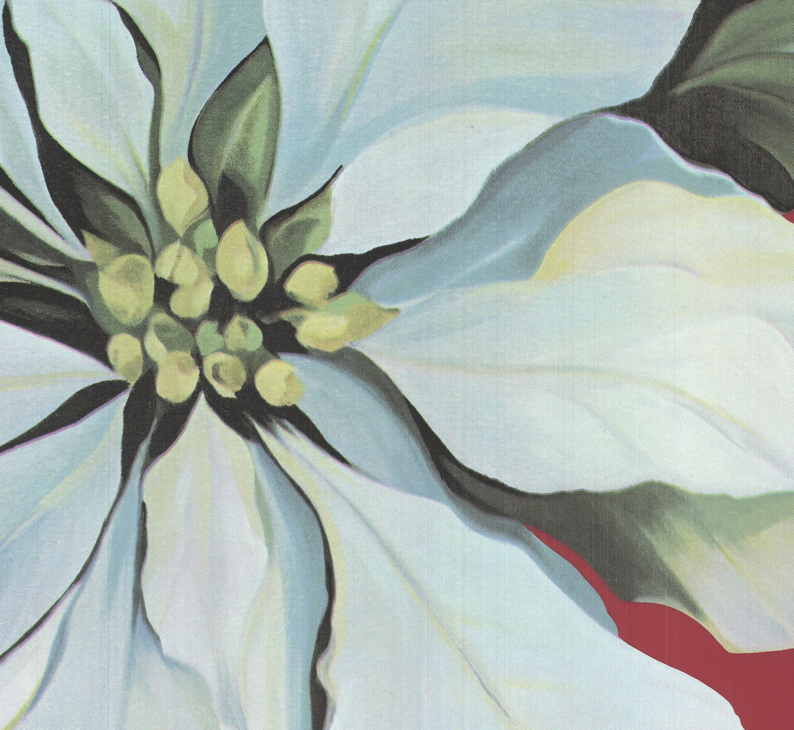 Lowell Nesbitt - Pointsettia - 1978 Serigraph - SIGNED 36 x 36"" - 5