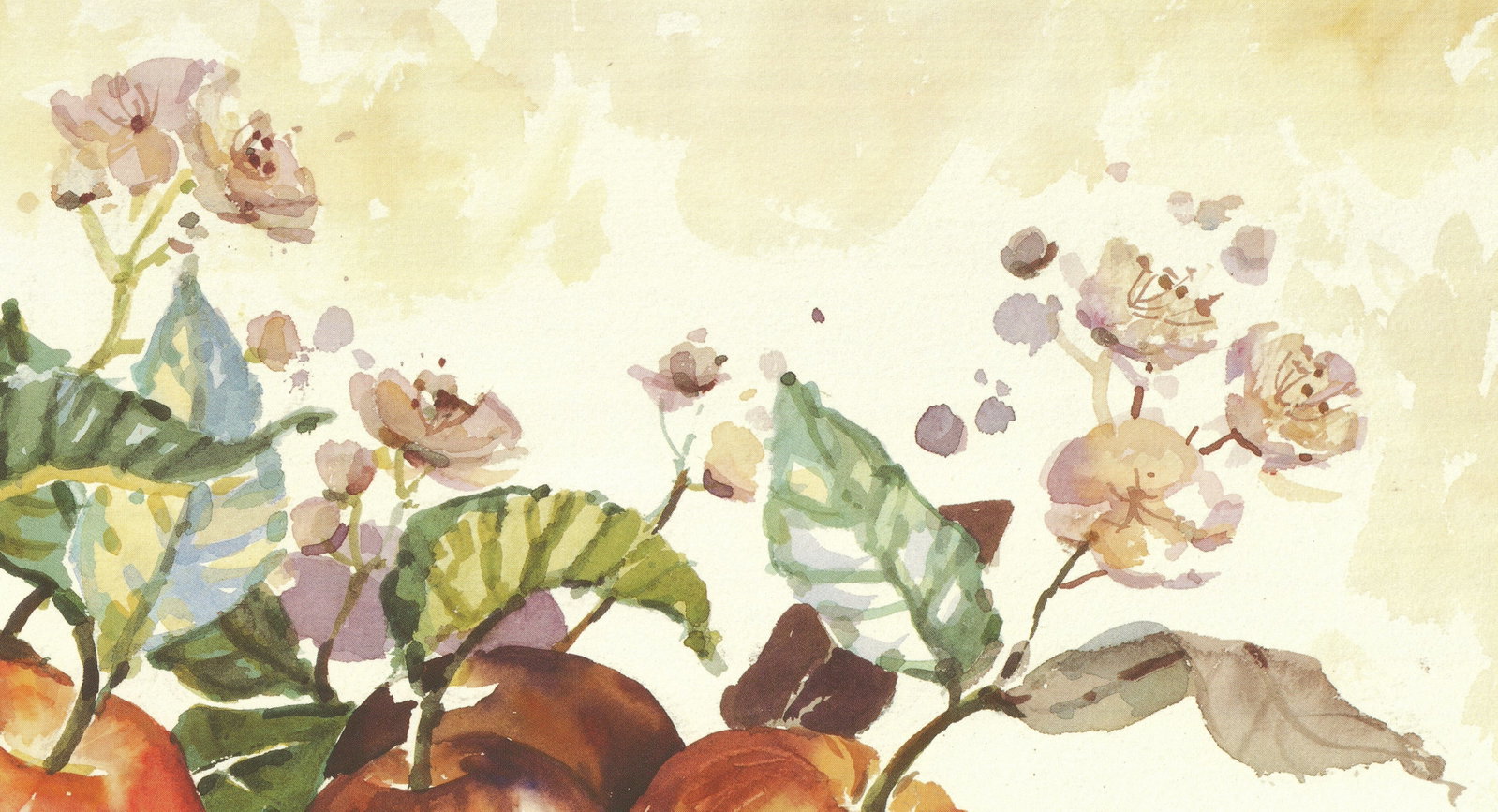 Marilyn Simandle - Summer Apples - 1995 Offset Lithograph 19.625 x 27.5"" - 5