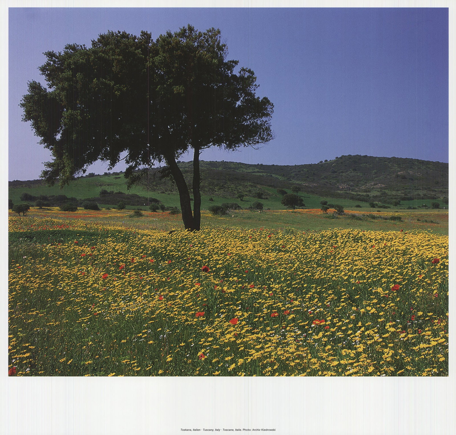 Archiv Kiedrowski - Tuscany, Italy - 2009 Offset Lithograph 17 x 17.75"": Title: Archiv Kiedrowski - Tuscany, Italy - 2009 Offset Lithograph 17 x 17.75" Description: "Tuscany, Italy" by Archiv Kiedrowski, 2009 Unsigned Offset Lithograph. Paper size is 17 x 17.75 inches,