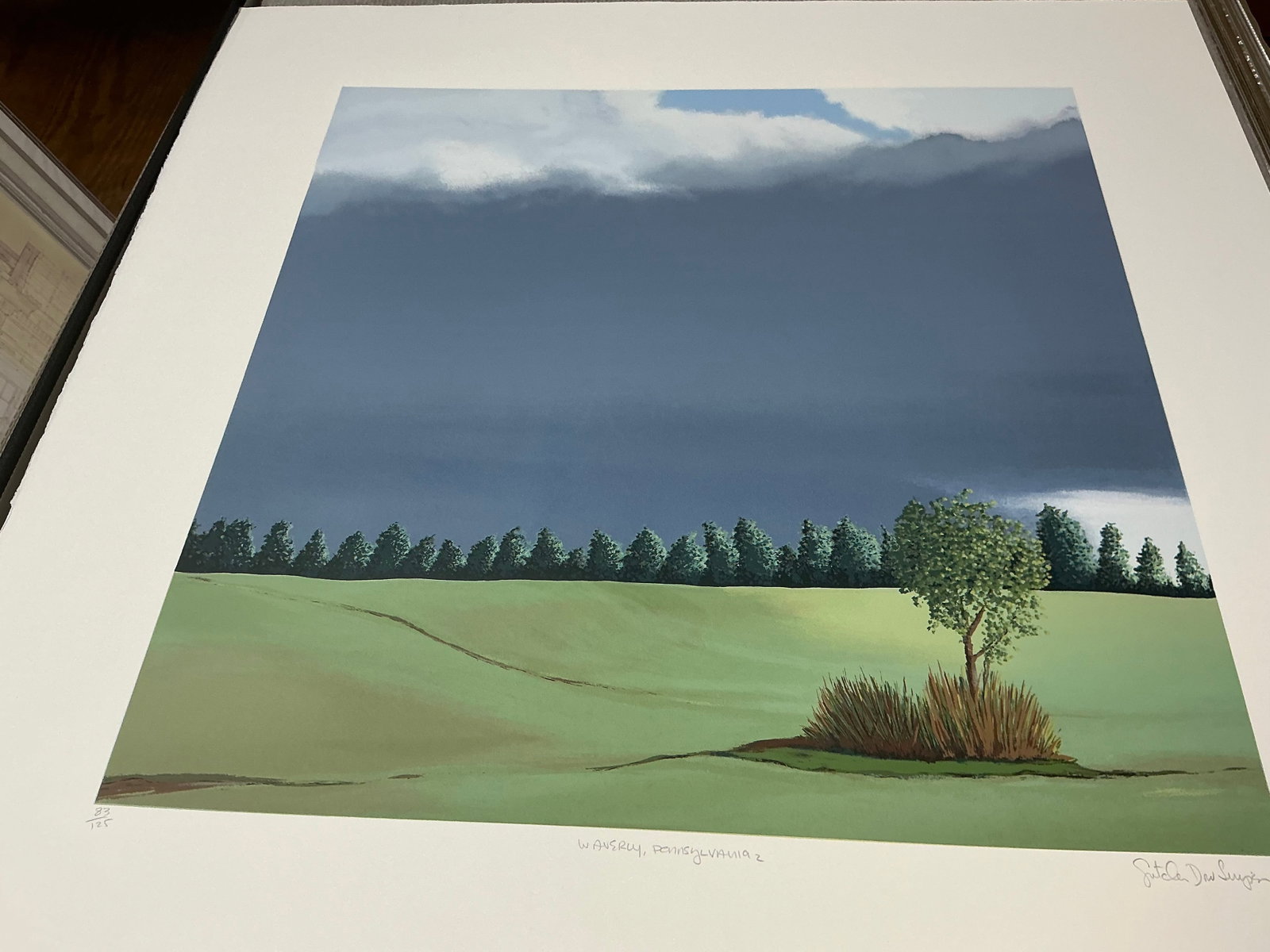 Gretchen Dow Simpson - Waverly, Pennsylvania - 1991 Serigraph - SIGNED 29.75 x 29.25"" - 9
