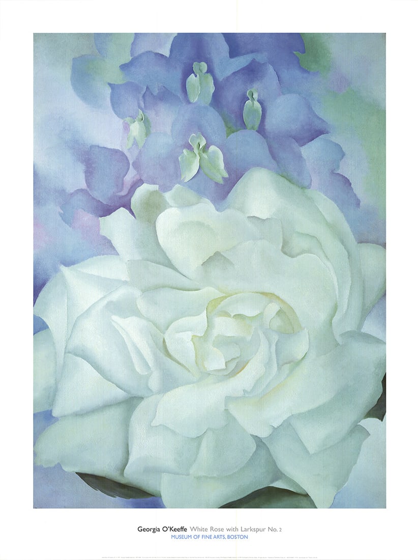 Georgia O'Keeffe - White Rose with Larkspur No.2 - 2002 Offset Lithograph 40 x 30"": Title: Georgia O'Keeffe - White Rose with Larkspur No.2 - 2002 Offset Lithograph 40 x 30" Description: "White Rose with Larkspur No.2" by Georgia O'Keeffe, 2002 Unsigned Offset Lithograph. Paper size 
