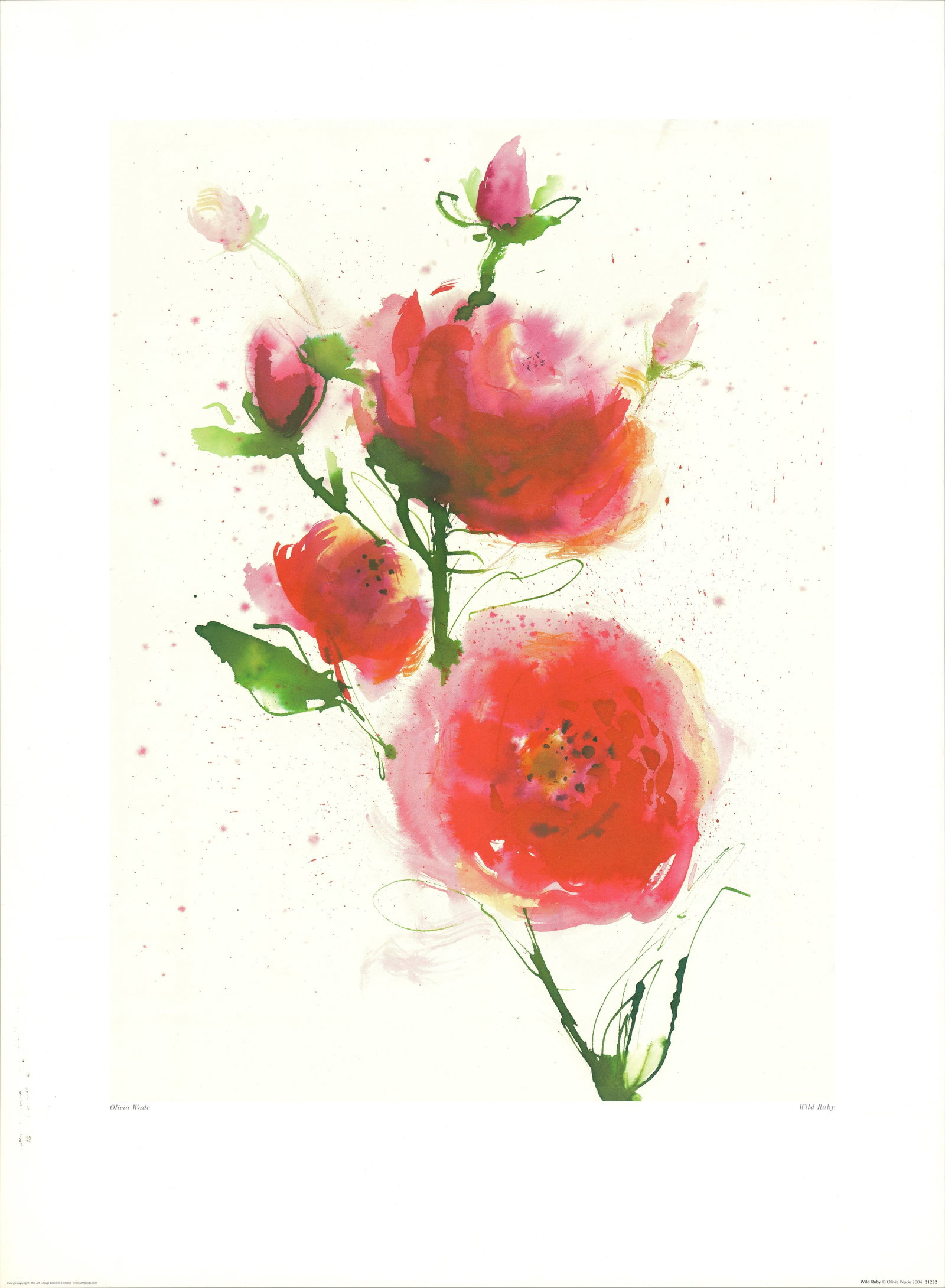 Olivia Wade - Wild Ruby - 2004 Offset Lithograph 32.4 x 23.7"": Title: Olivia Wade - Wild Ruby - 2004 Offset Lithograph 32.4 x 23.7" Description: "Wild Ruby" by Olivia Wade, 2004 Unsigned Offset Lithograph. Paper size is 32.4 x 23.7 inches, with an image size of 2