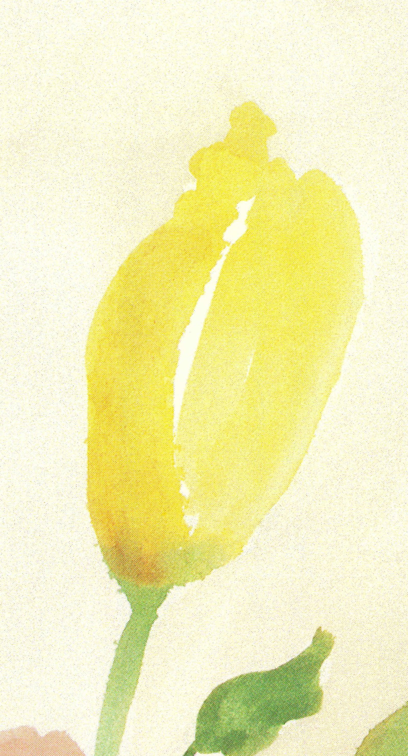 Charlene Winterle Olson - Yellow Tulips - 1985 Offset Lithograph 20 x 16"" - 4