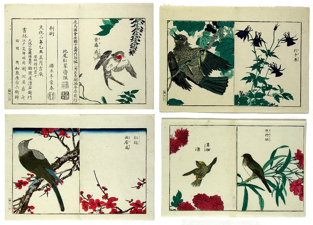 misc.: Birds and Flowers prints - 2