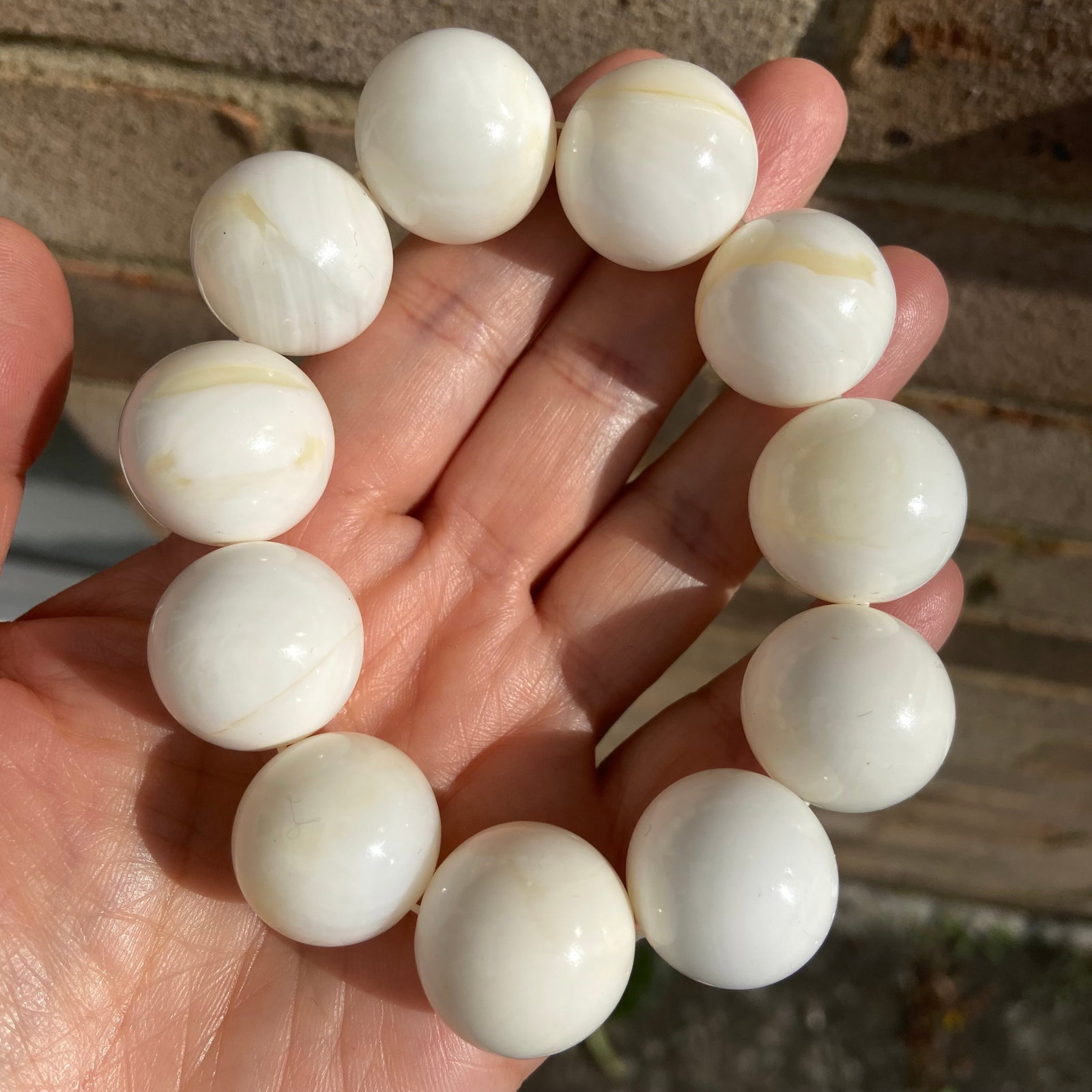 20mm Large Tridacna Gigas (Giant Clam) Shell Beads Bracelet - 7
