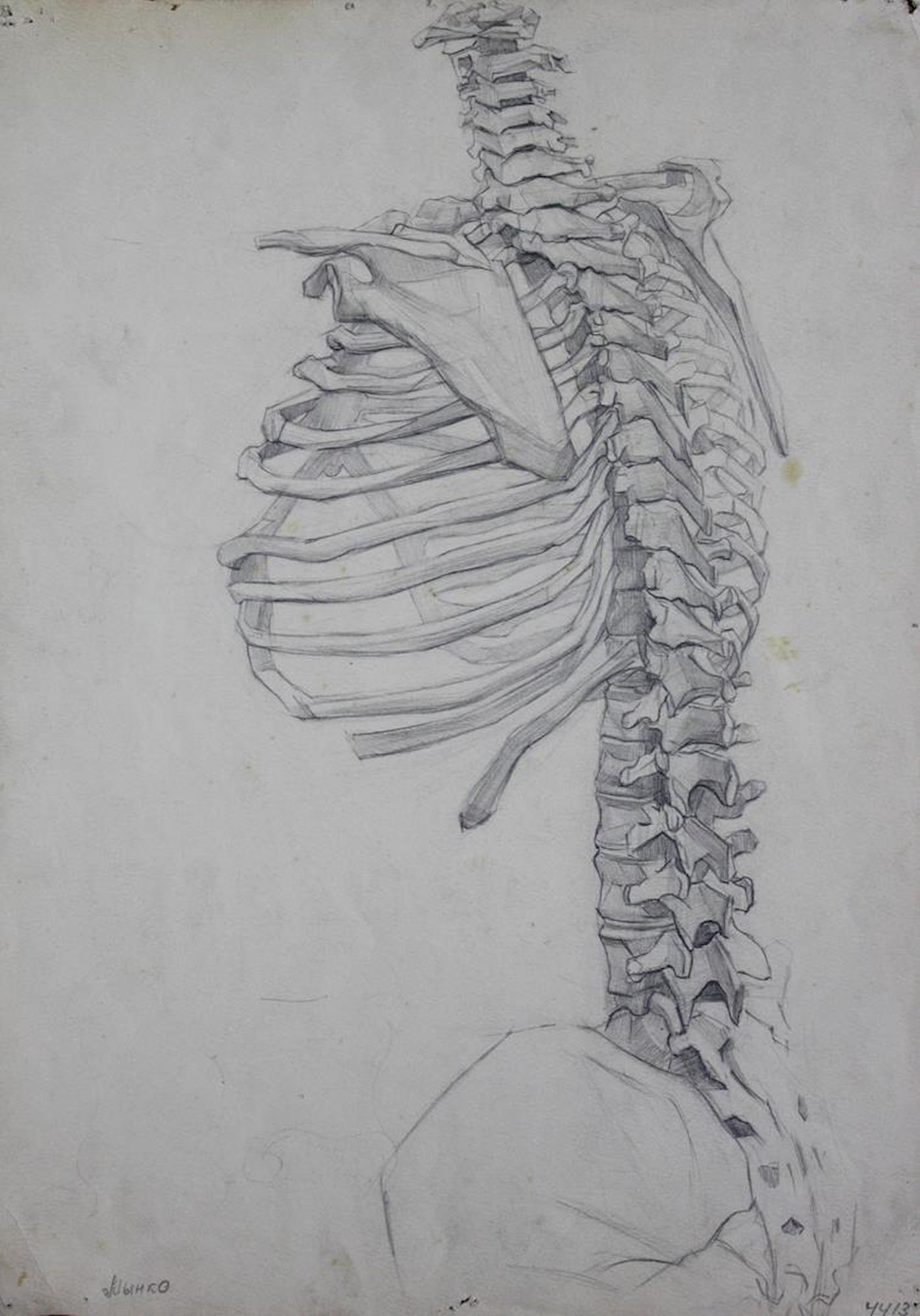 Mynka Olexandr (Ukrainian artist), "Skeleton", pencil on paper: Title: Mynka Olexandr (Ukrainian artist), "Skeleton", pencil on paper Description: ARTIST: Mynka Olexandr Fedorovich, Ukrainian artist TITLE: "Skeleton" SIZE: 42 x 29 cm, (16 2/4 x 11 2/4 in.)