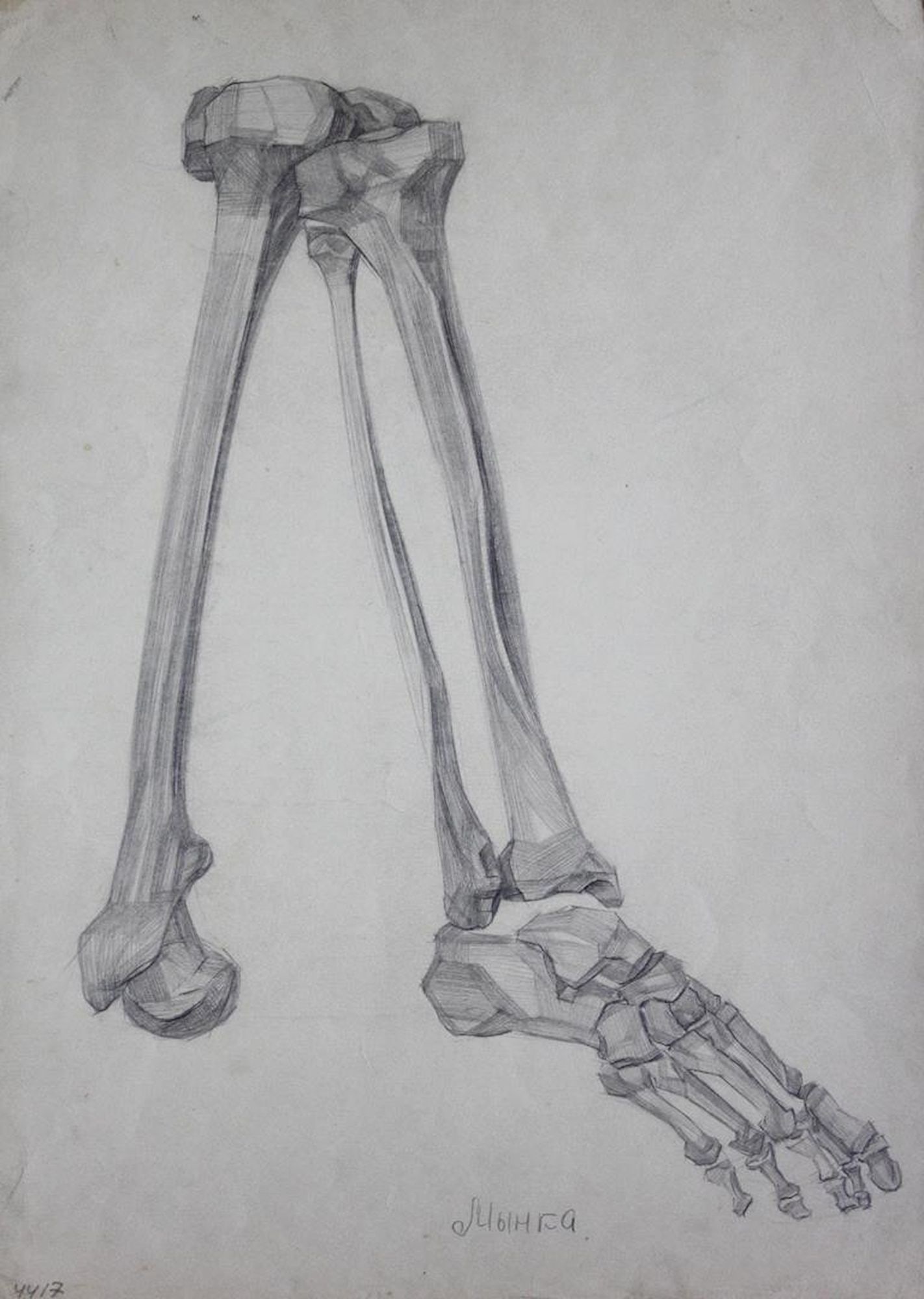Mynka Olexandr (Ukrainian artist), "The bones of the lower limb", pencil on paper (1 of 1)