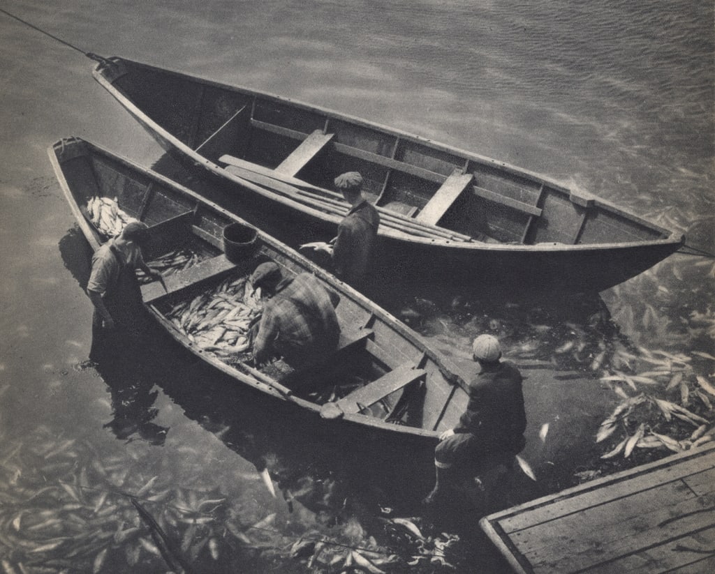 ADOLF FASSBENDER - Fish A'Plenty: Title: ADOLF FASSBENDER - Fish A'Plenty Description: Artist: ADOLF FASSBENDER Print Title: Fish A'Plenty Medium: Sheet-fed Gravure Printing Date: 1930's Printed in USA Image Size: 6.75 X 8 inches