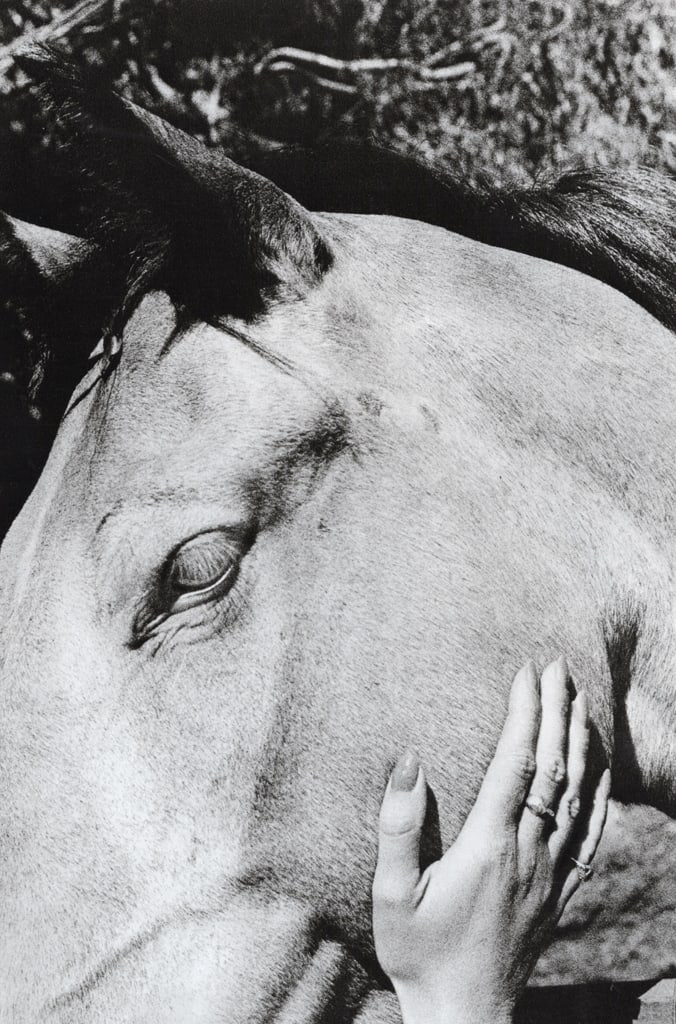 RALPH GIBSON - Quadrants, Horse: Title: RALPH GIBSON - Quadrants, Horse Description: Artist: RALPH GIBSON Print Title: Quadrants Medium: Sheet-fed Gravure Printing date: 1970's Printed in England Image Size: 10.5 X 7 inches Ralph
