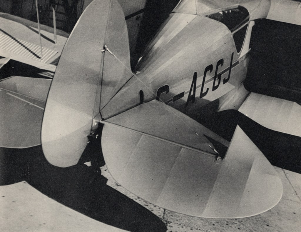 EDWARD STEICHEN - Lotus. Mount Kisco, New York. 1915. (1 of 1)