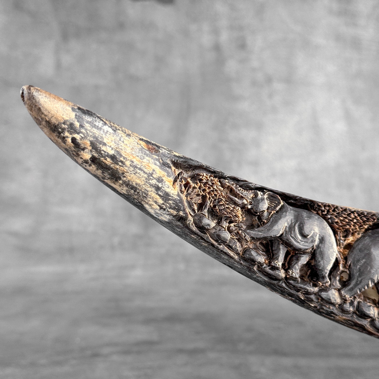 Finely engraved large waterbuffalo horn - Elephants motif - 4