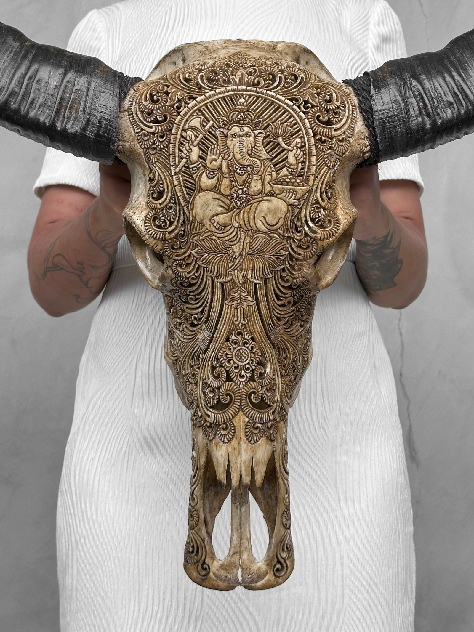 Hand-carved brown water buffalo skull - Ganesha motif - 10