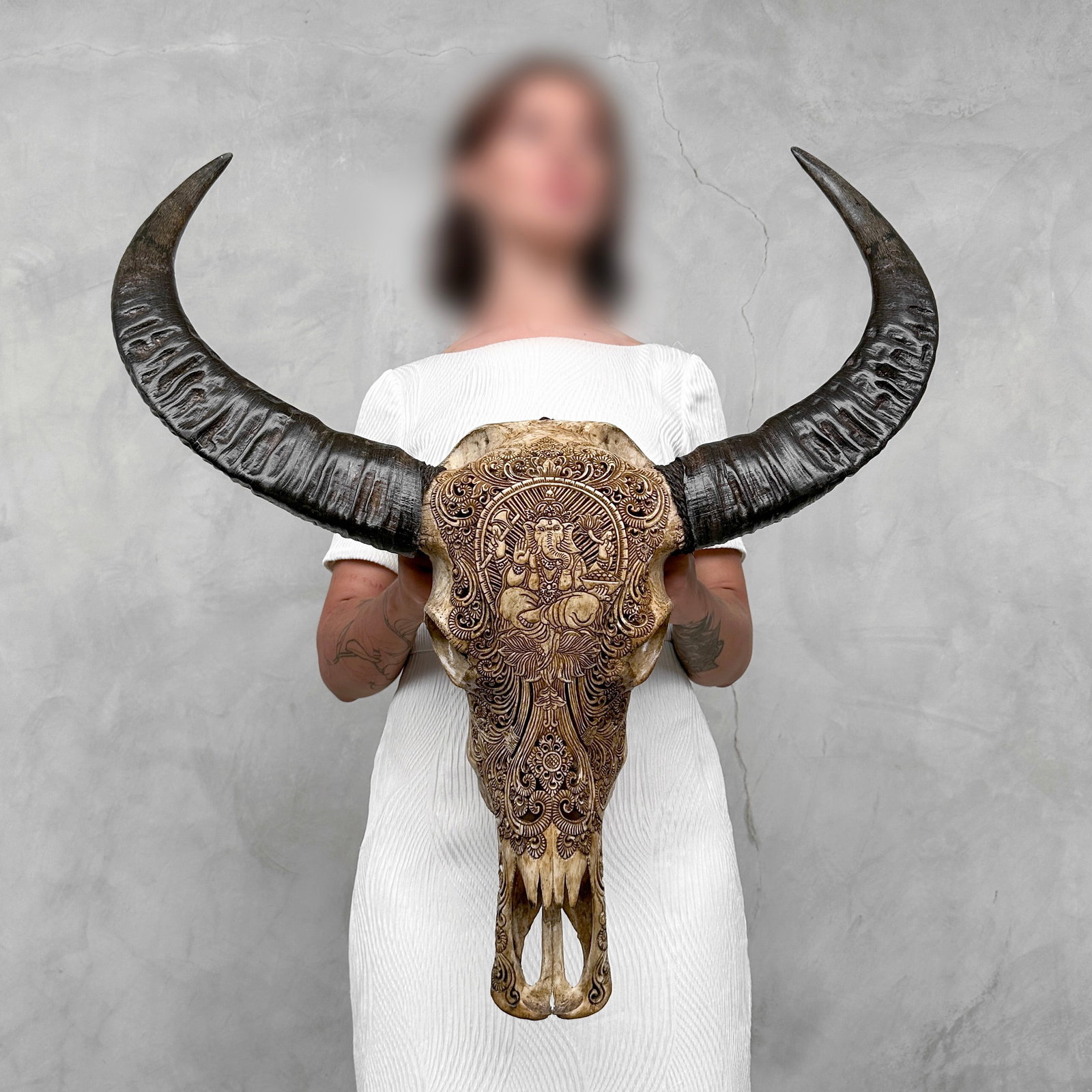 Hand-carved brown water buffalo skull - Ganesha motif: Title: Hand-carved brown water buffalo skull - Ganesha motif Maker:Unknown Origin: Indonesia Date/Period:2026 Materials:Bubalus Bubalis, Bone, horn Dimensions:Height: 78 cm / 30.7 inches Width: 68 cm 