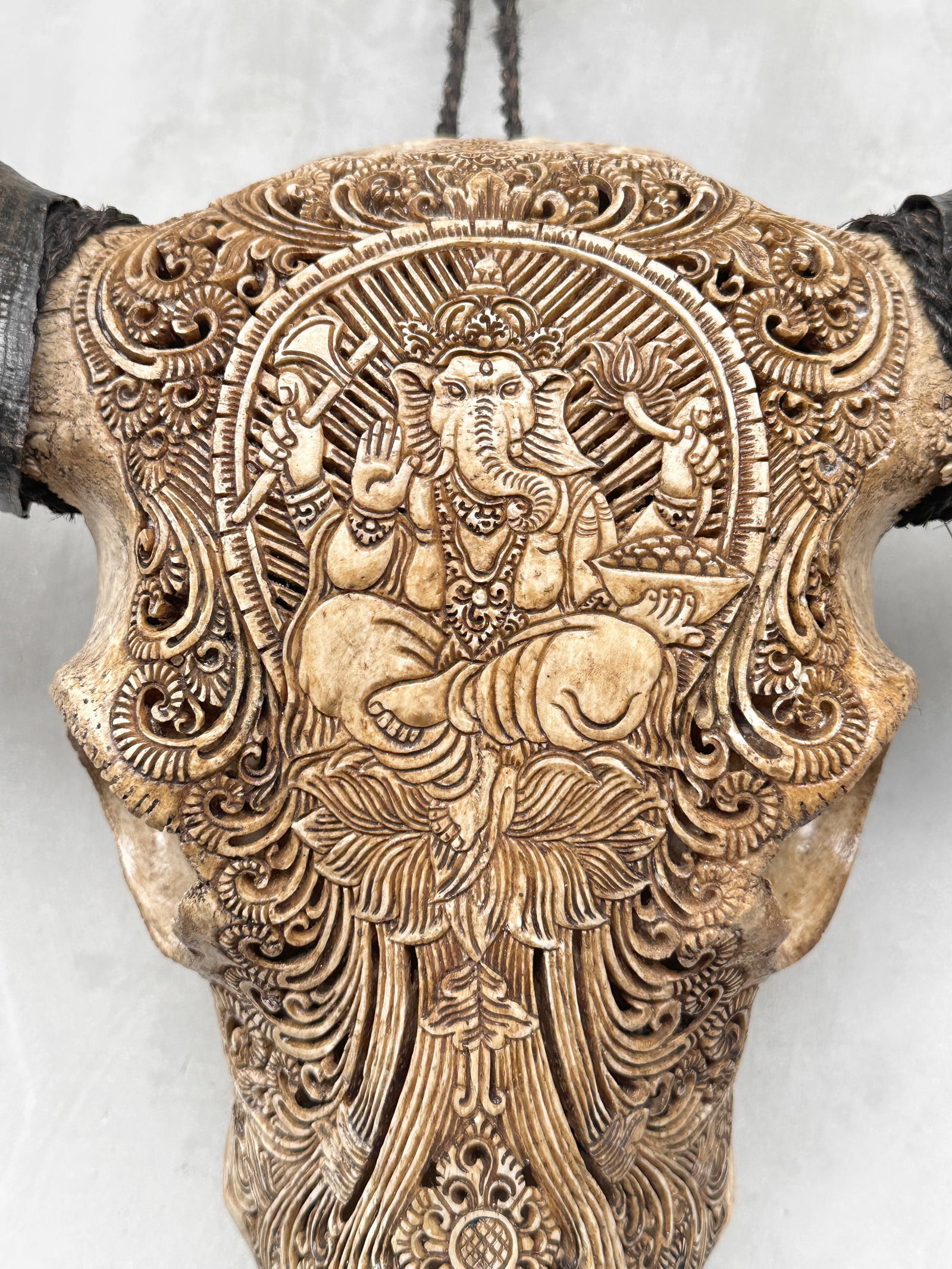 Hand-carved brown water buffalo skull - Ganesha motif - 3