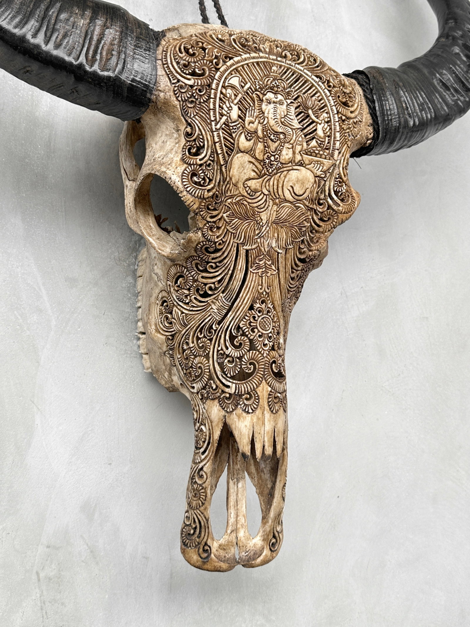 Hand-carved brown water buffalo skull - Ganesha motif - 5