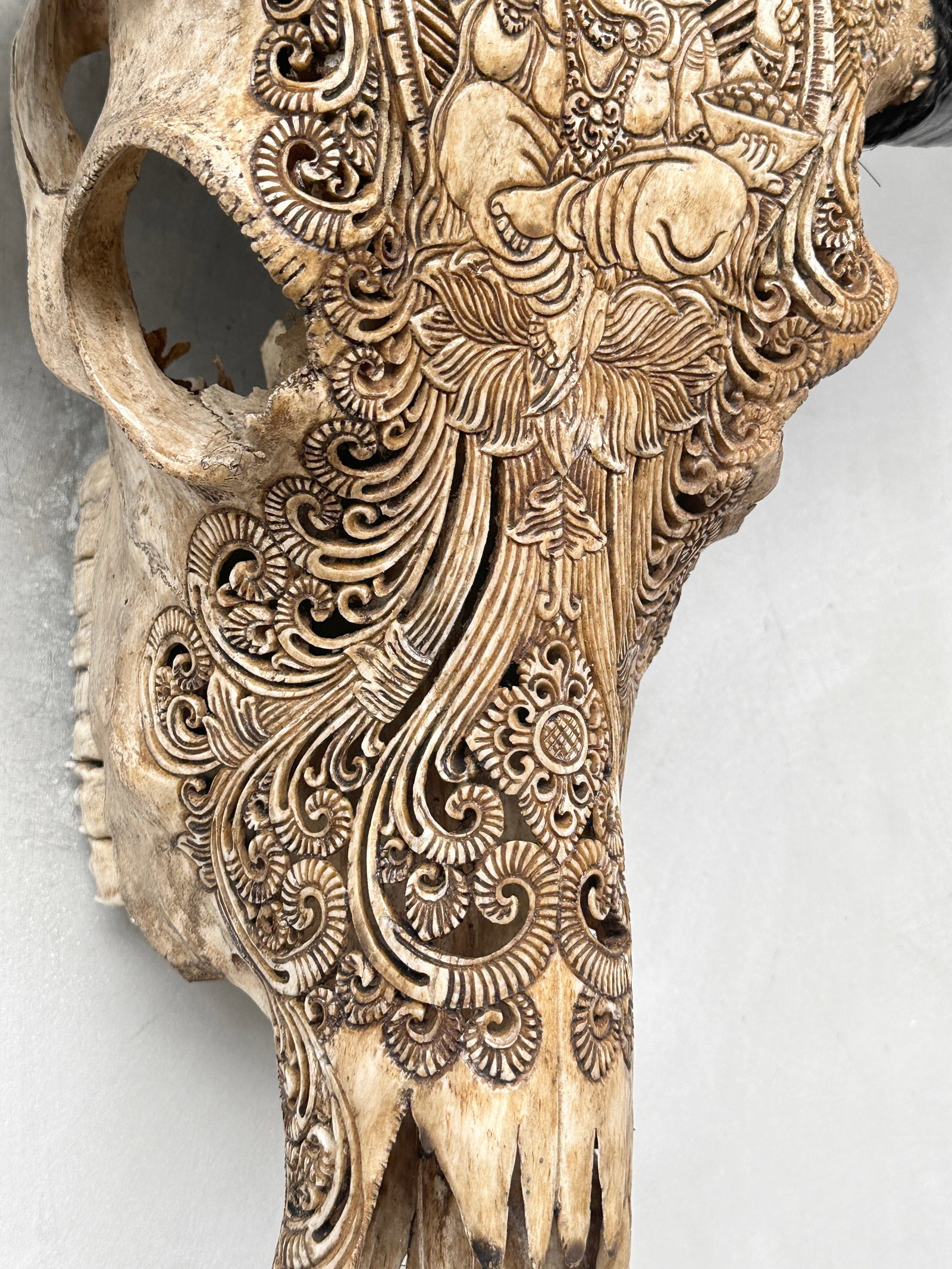 Hand-carved brown water buffalo skull - Ganesha motif - 6