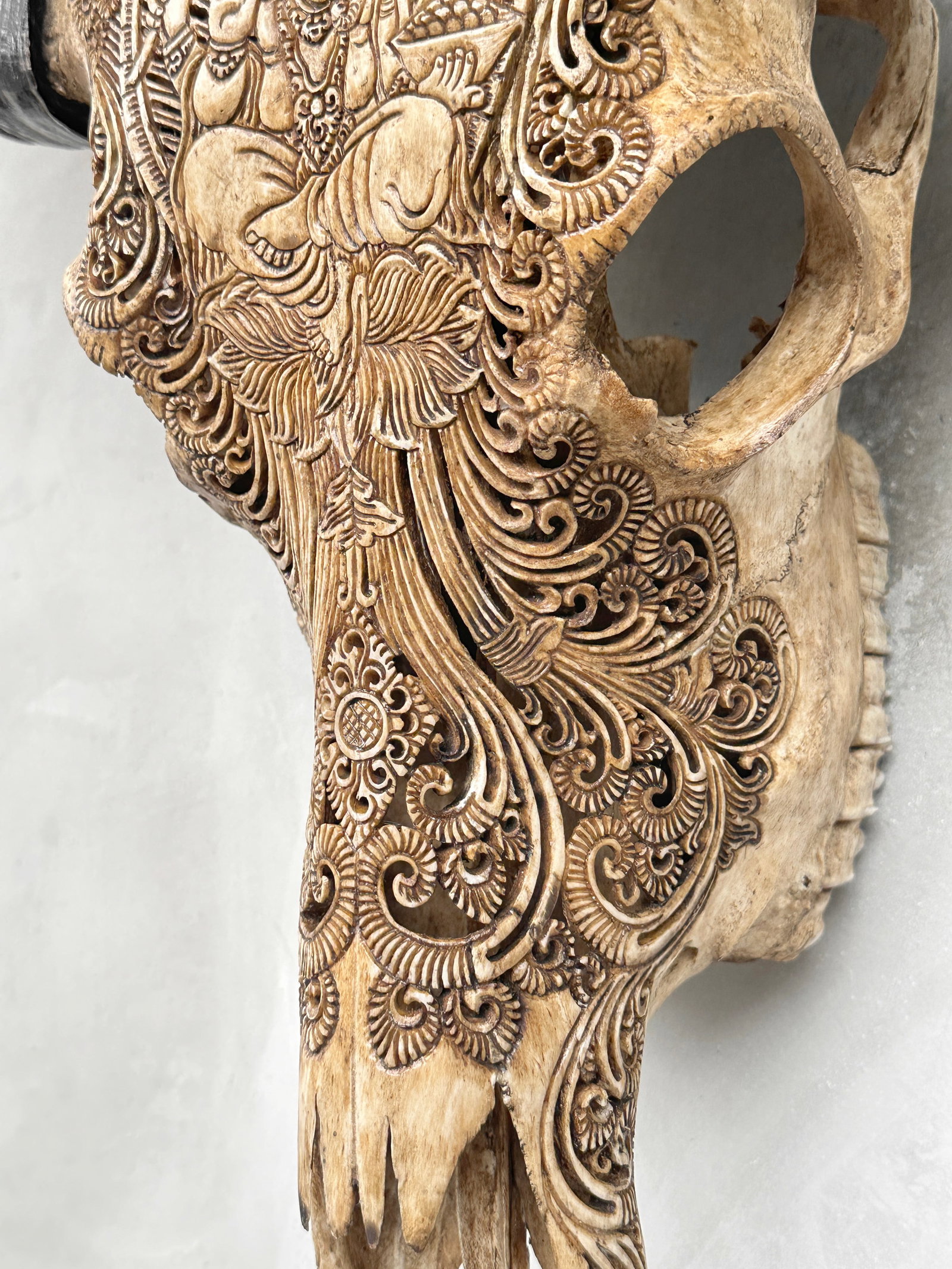 Hand-carved brown water buffalo skull - Ganesha motif - 8