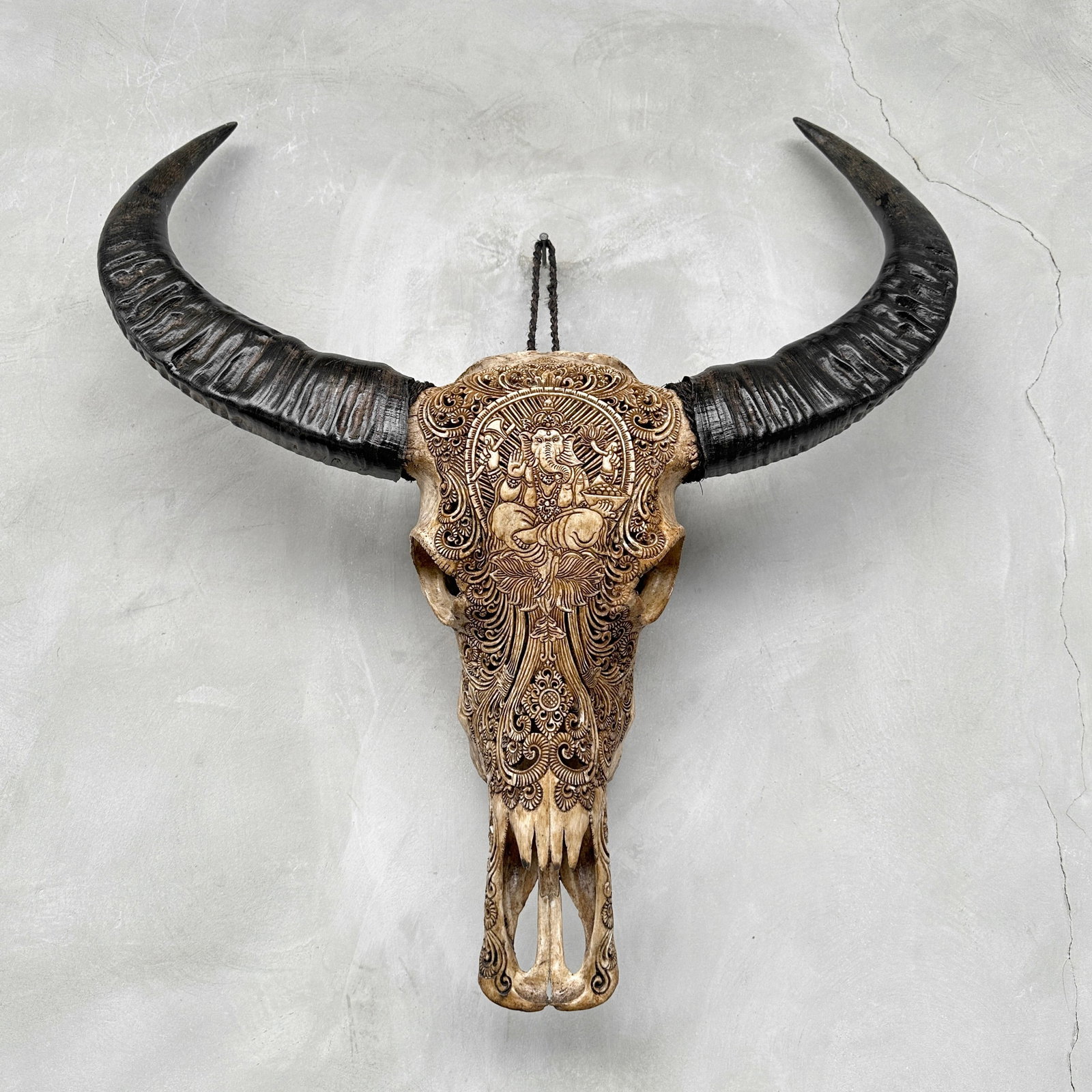 Hand-carved brown water buffalo skull - Ganesha motif - 9