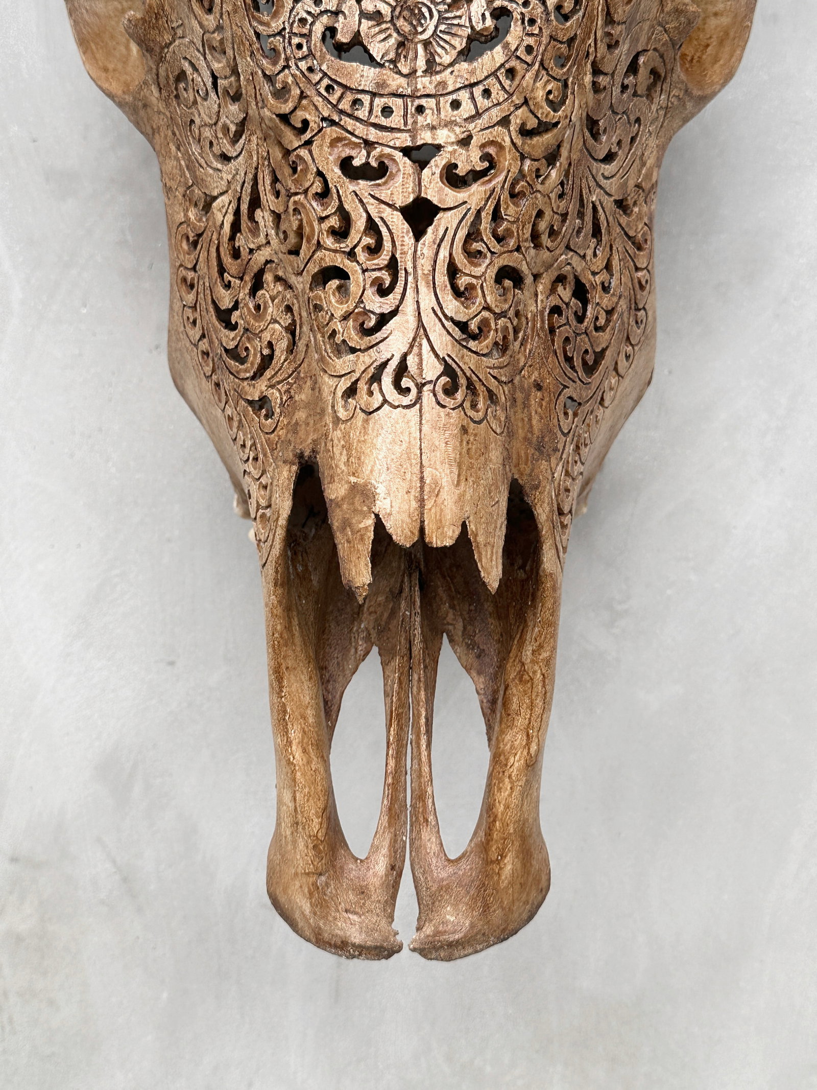 Brown cow skull with bohemian carved horns - Badong motif - 4
