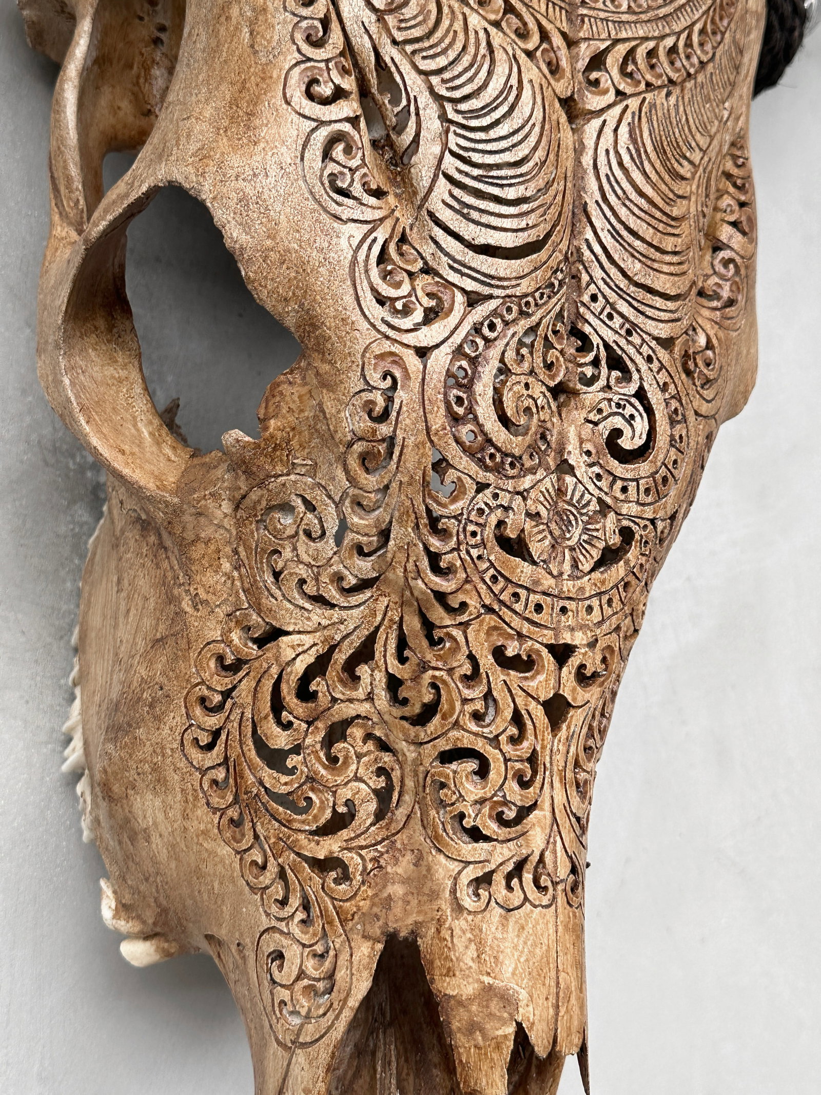 Brown cow skull with bohemian carved horns - Badong motif - 6