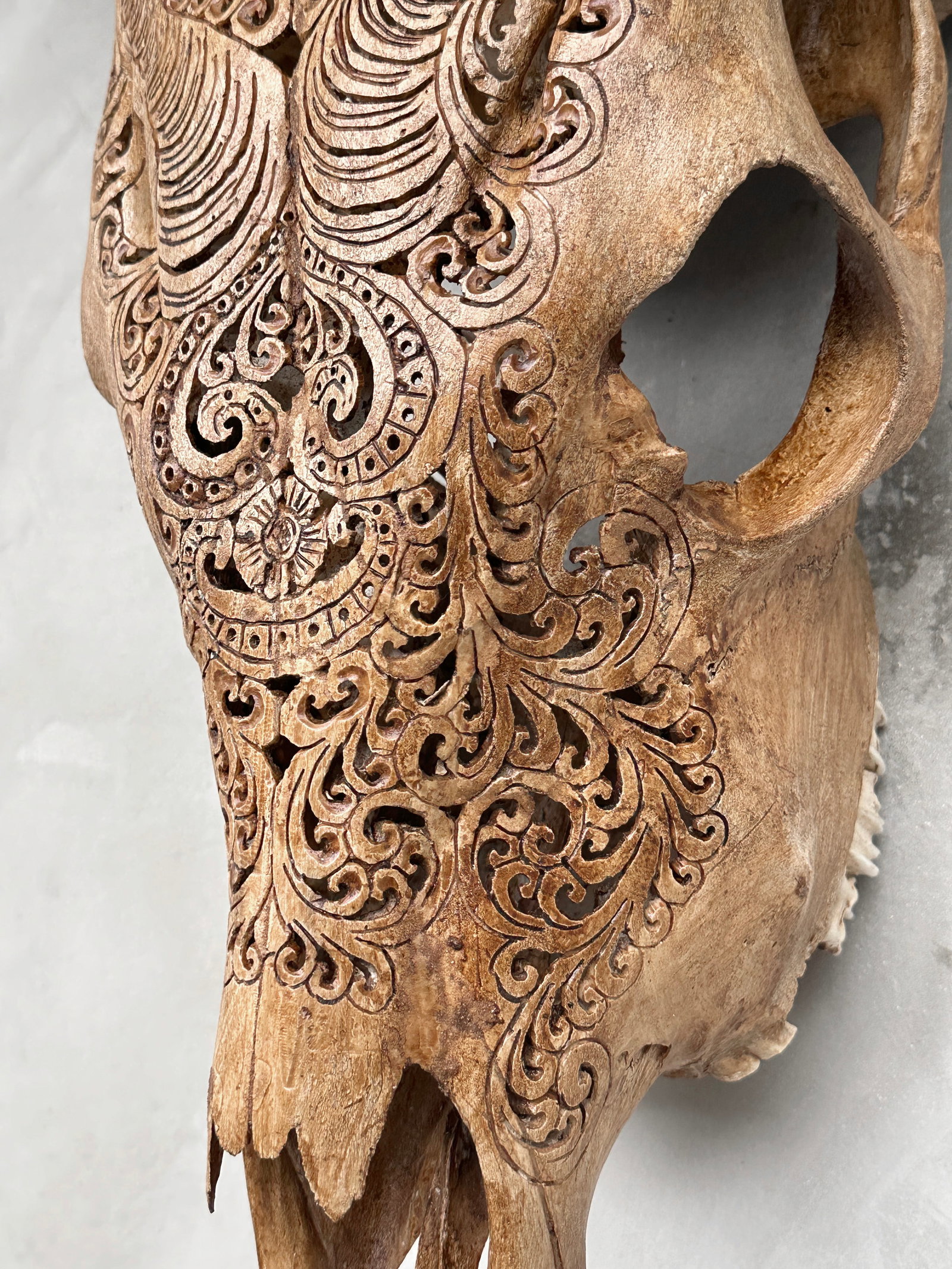 Brown cow skull with bohemian carved horns - Badong motif - 8