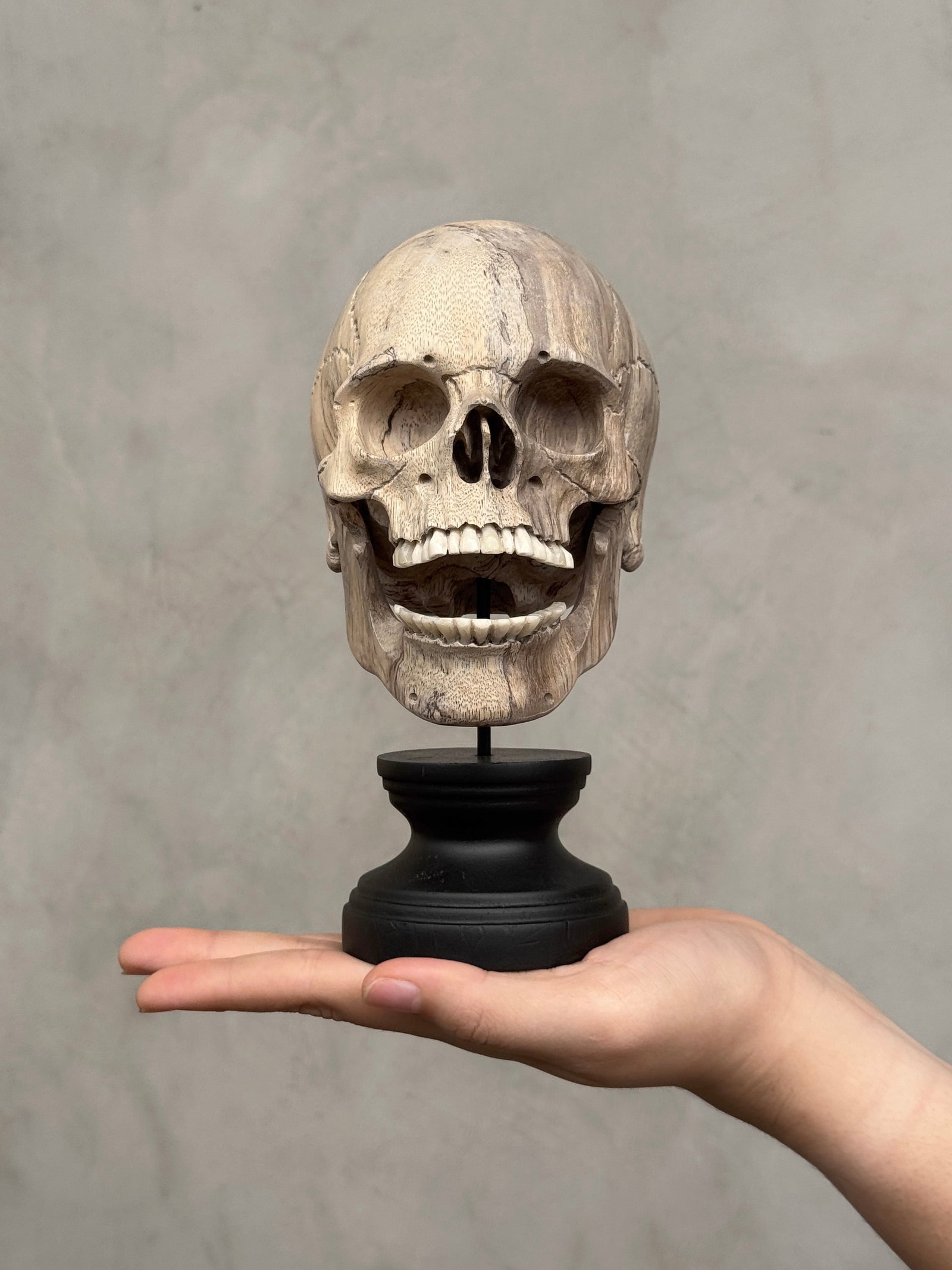 Wonderful human skull with a beautiful grain on a custom stand - 2