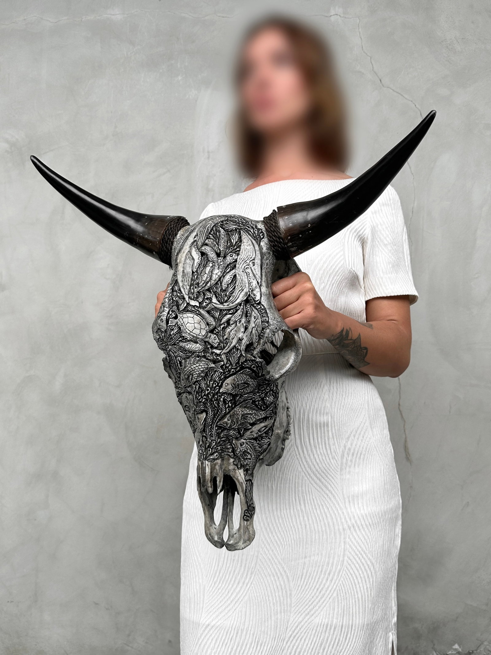 Grey bull's skull - Marine motif - 2
