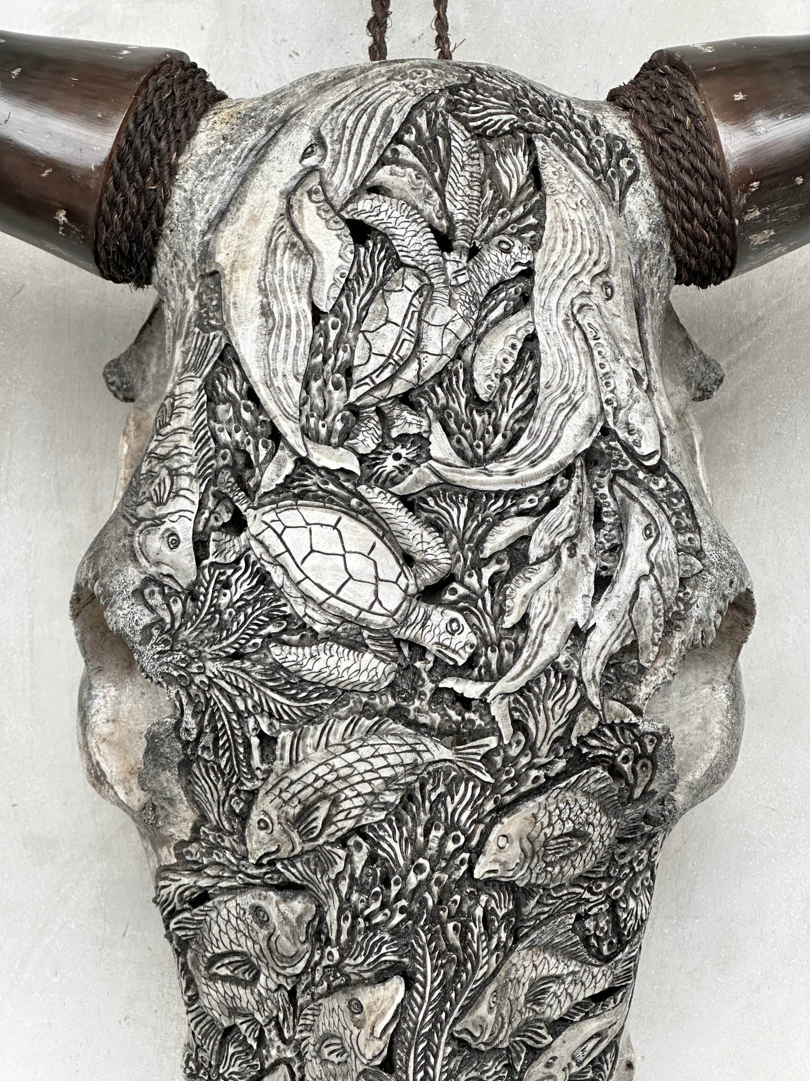 Grey bull's skull - Marine motif - 3