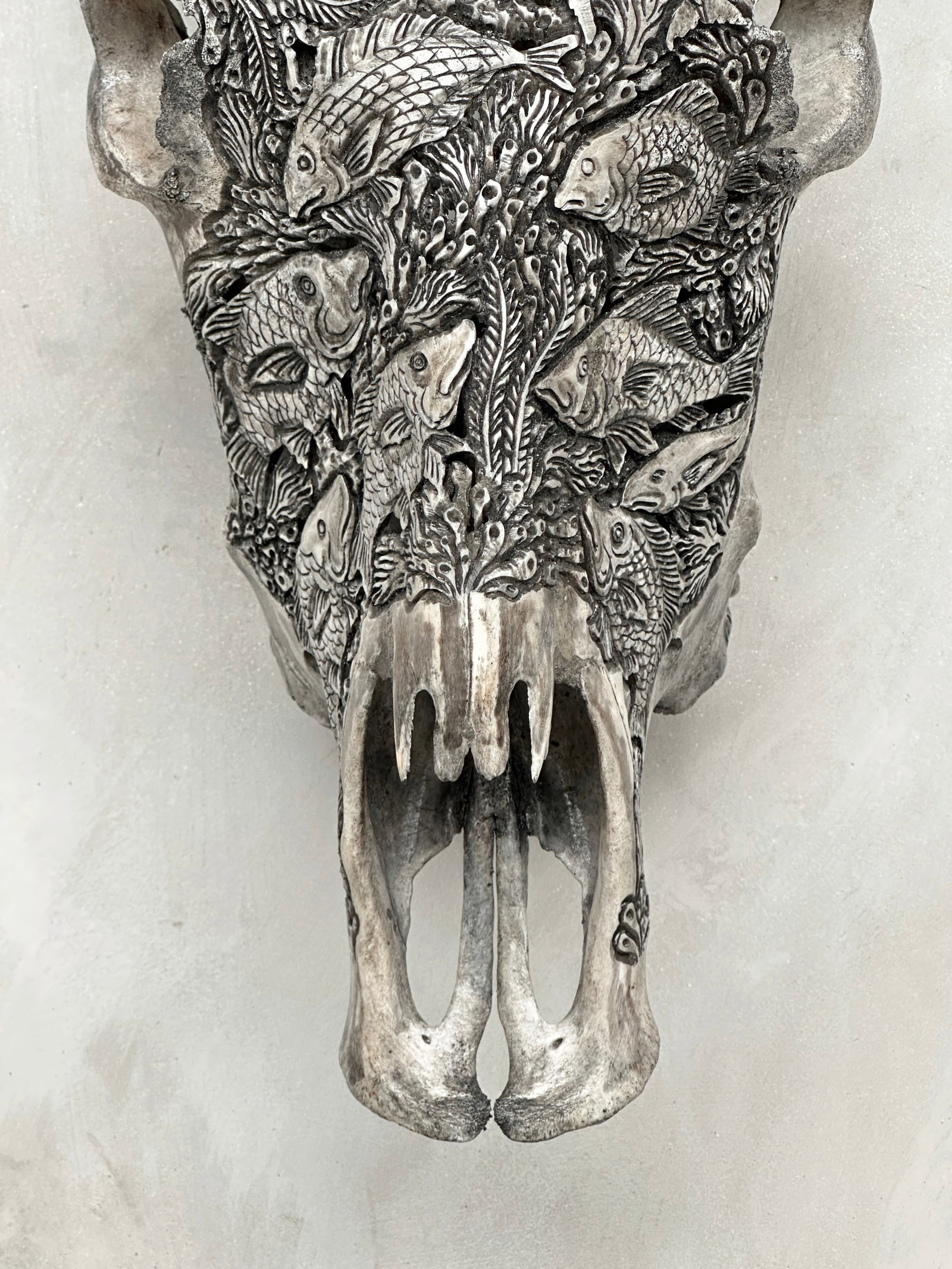 Grey bull's skull - Marine motif - 4