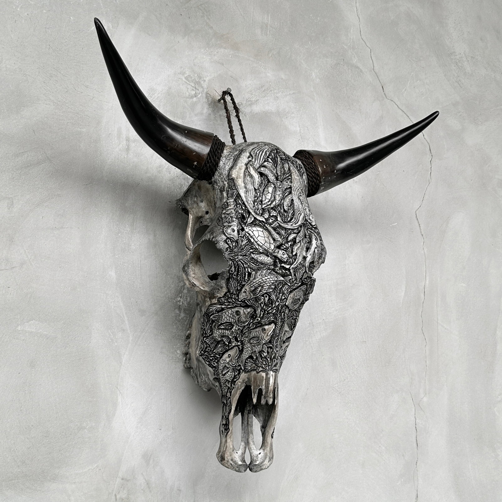 Grey bull's skull - Marine motif - 5