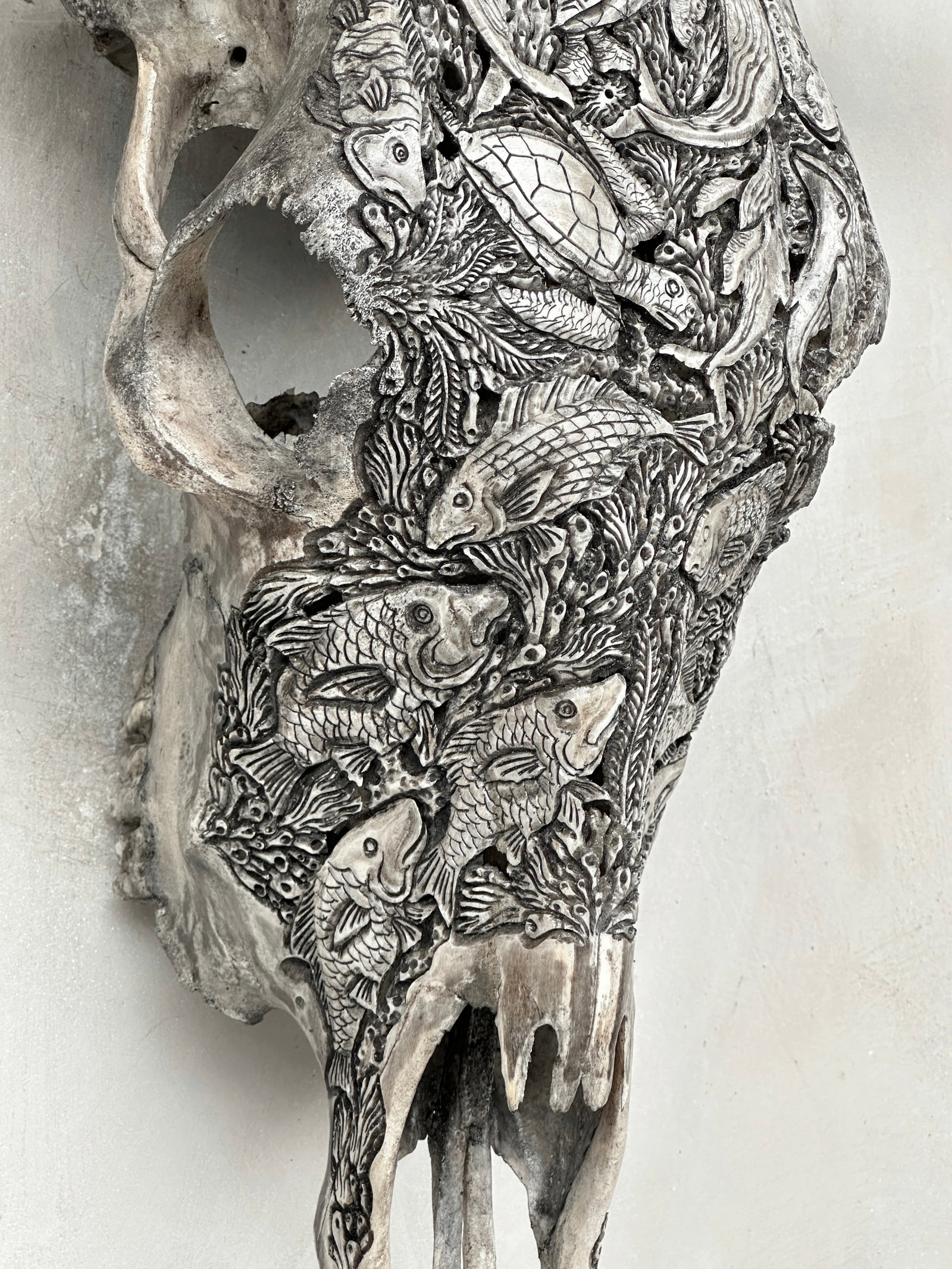 Grey bull's skull - Marine motif - 6