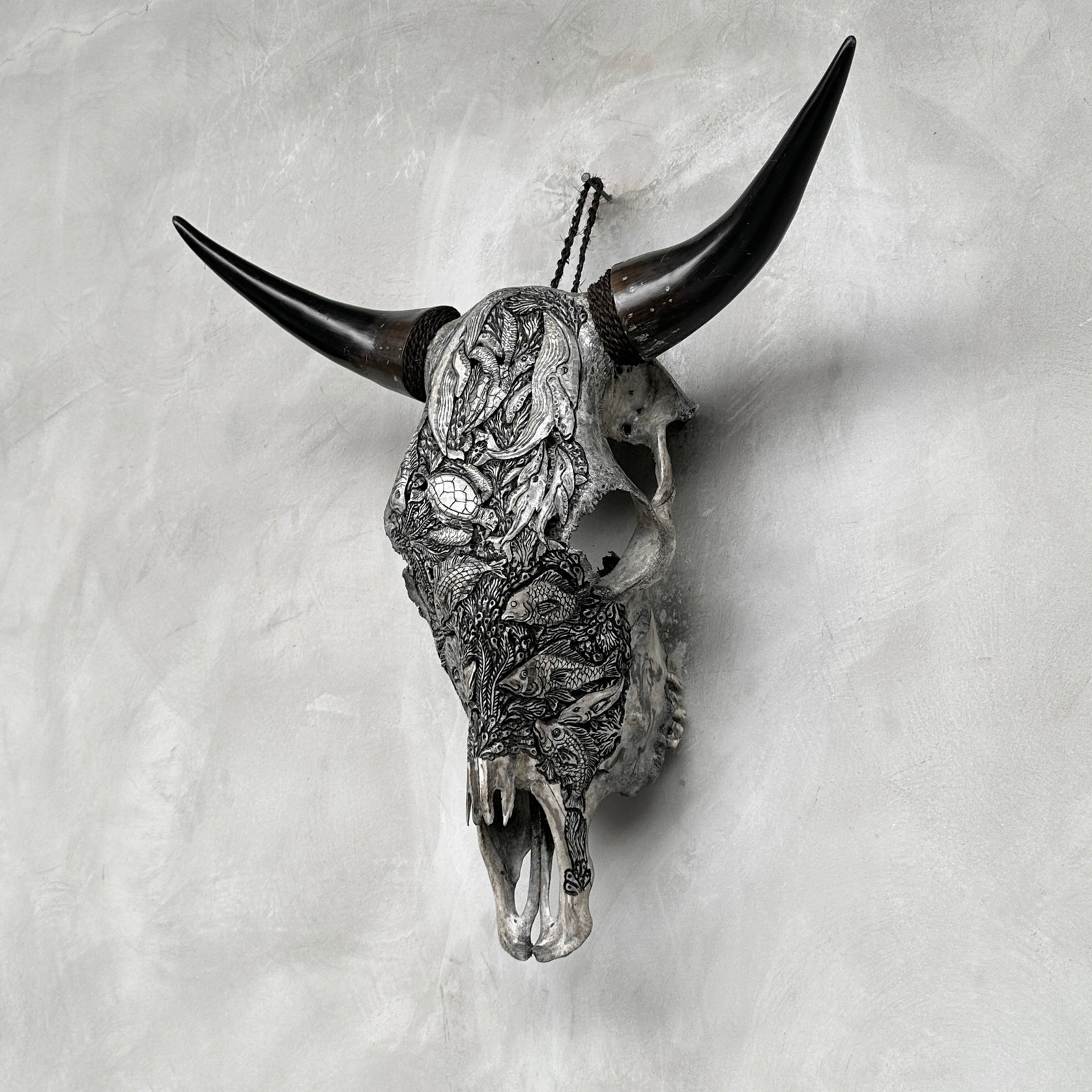 Grey bull's skull - Marine motif - 7